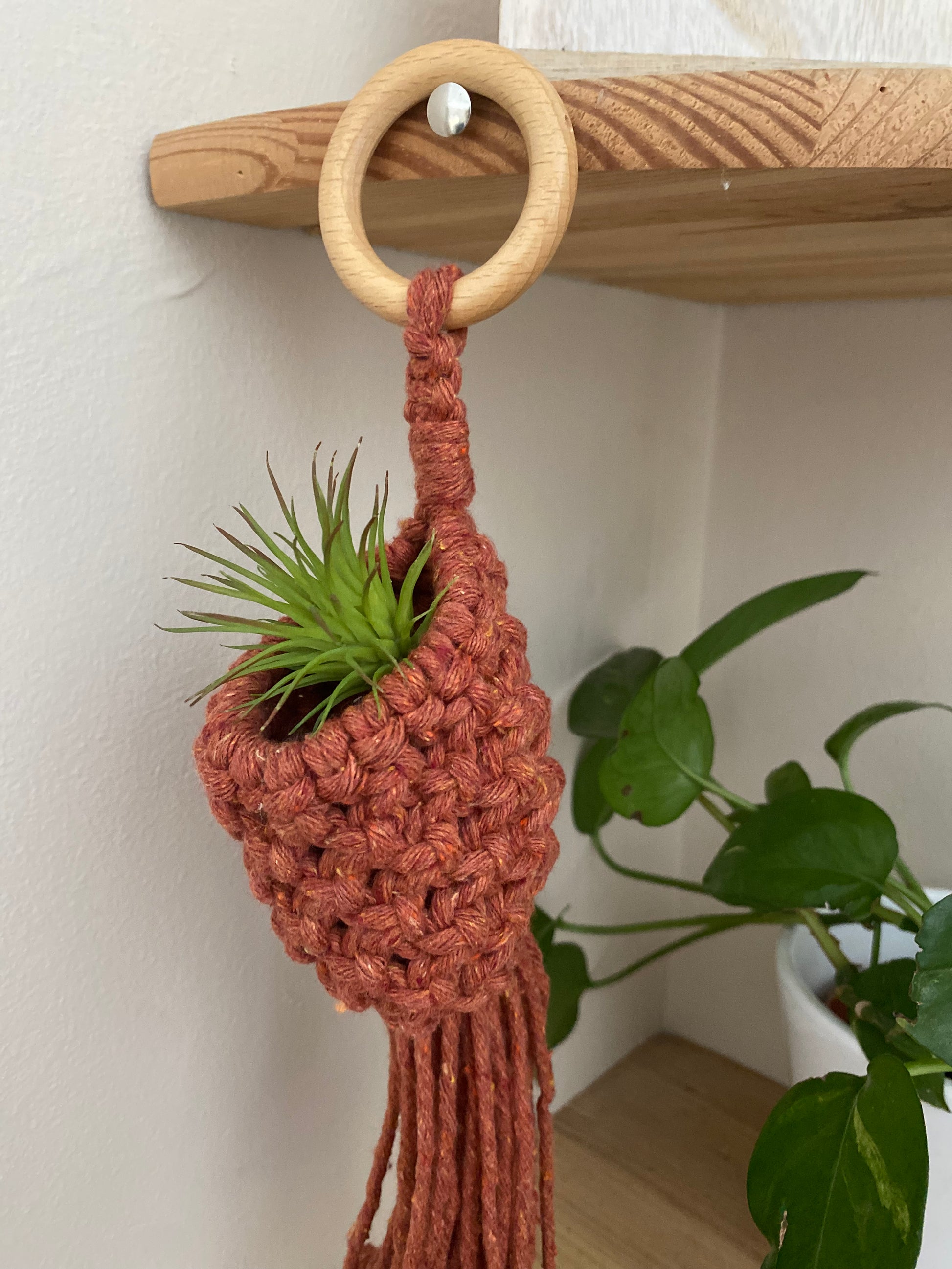 A small green air plant sits snugly inside a macrame pod hanger, which is made with terracotta coloured cotton and a wooden hanging ring. The pod is hung on a wooden corner shelf, and there is a long trailing houseplant on the shelf below.