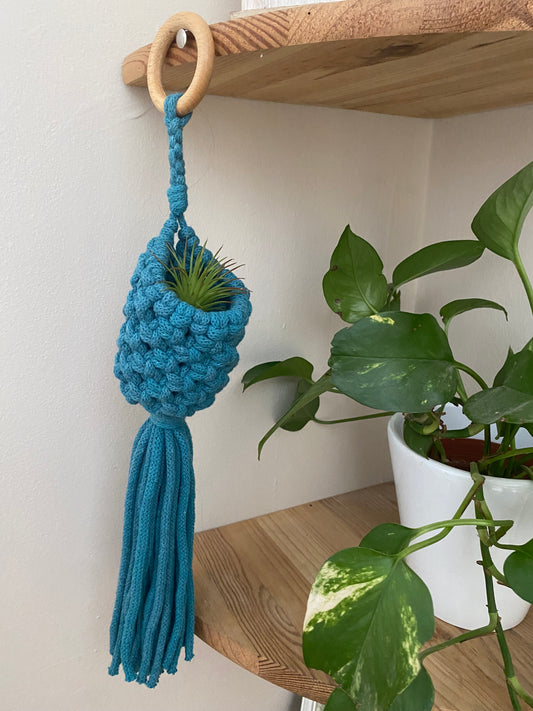 A small green air plant sits inside a macrame pod hanger, made with teal blue cotton with a wooden hanging ring. The pod is hung on a wooden corner shelf, and there is a long trailing houseplant on the shelf below.