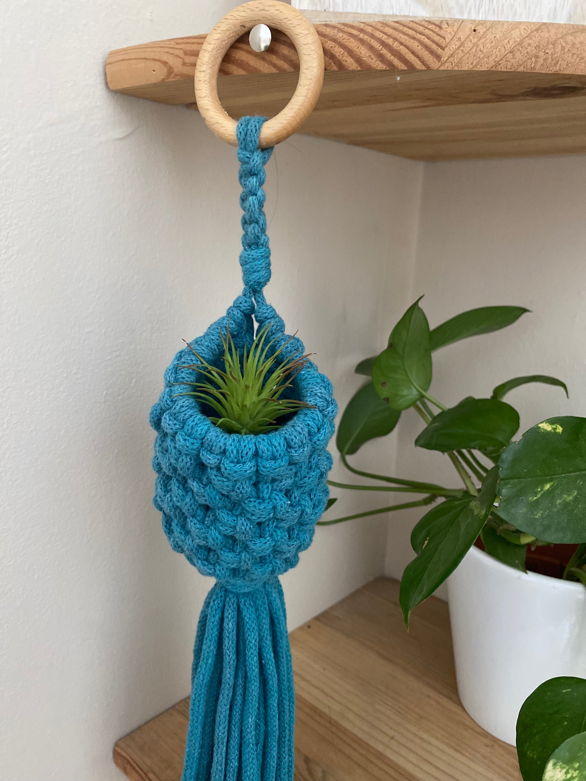 A small green air plant sits snugly inside a macrame pod hanger, made with teal blue cotton with a wooden hanging ring. The pod is hung on a wooden corner shelf, and there is a long trailing houseplant on the shelf below.