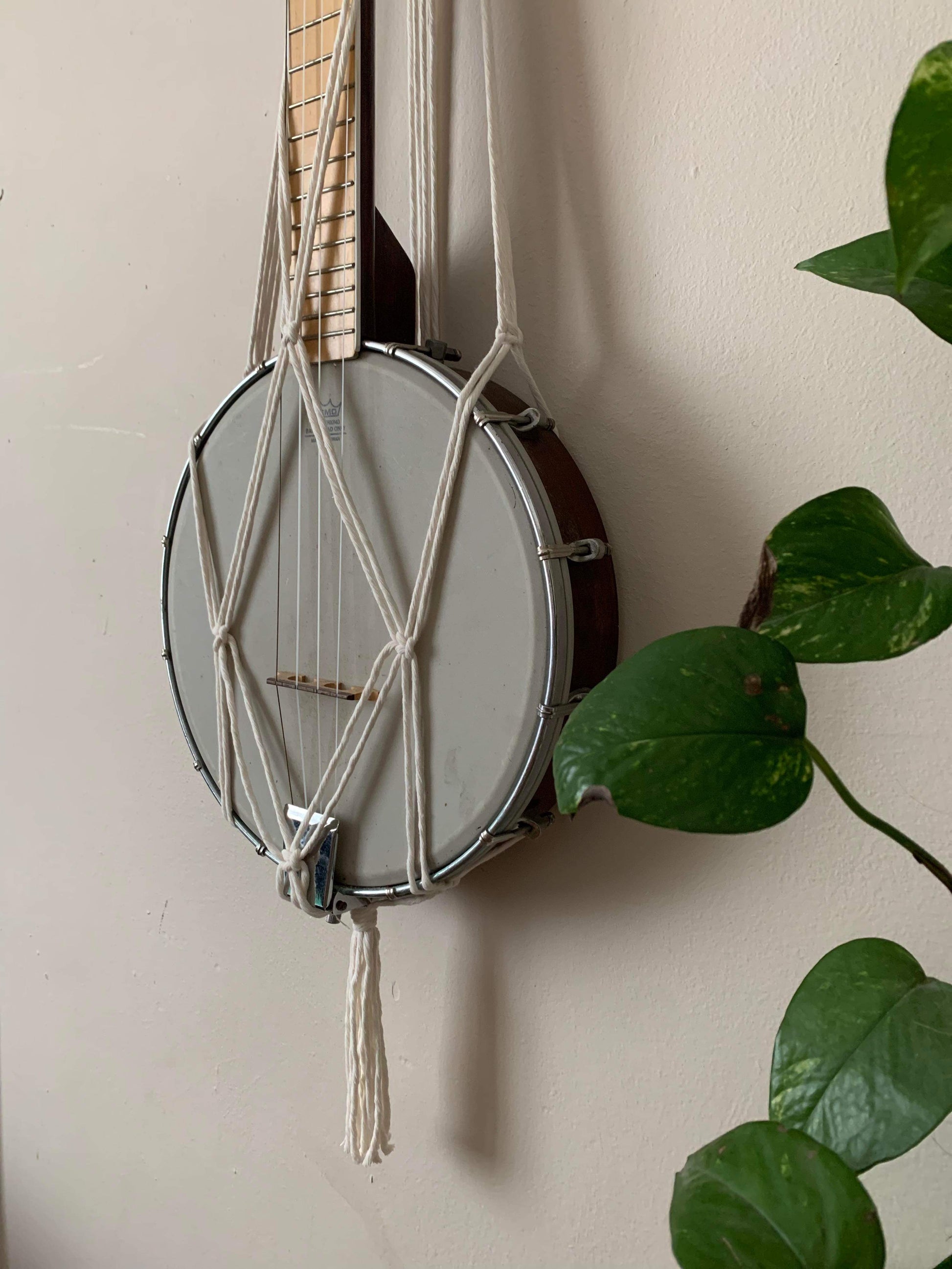 Close up of the bottom section of a banjolele instrument held in a macrame wall mounted hanger, made with natural coloured yarn next to a leafy houseplant.
