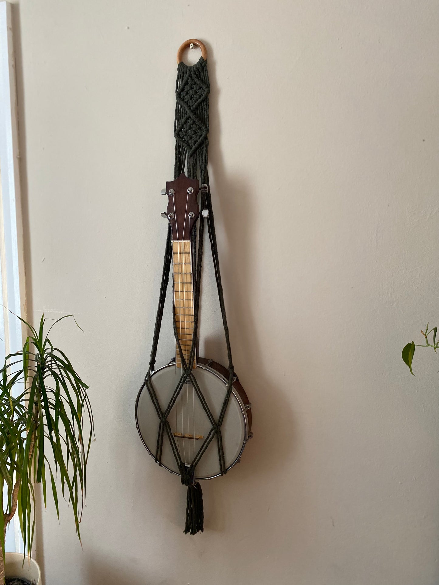 A banjolele instrument sits securely in a macrame wall mounted hanger, made with dark olive green coloured yarn and a wooden hanging ring. Displayed against a beige painted wall next to a tall houseplant.