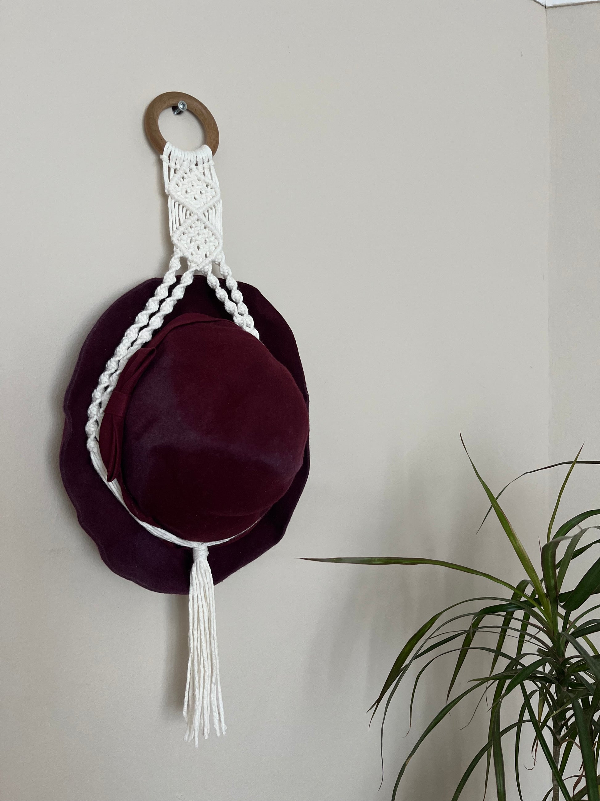 A dark red hat is suspended inside a macrame hat holder, made with natural coloured yarn and a wooden ring, against a white wall. There is a tall green houseplant nearby.