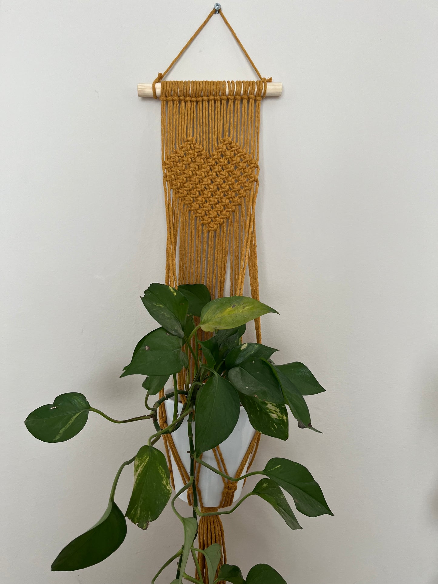 A green trailing plant hangs in a mustard yellow coloured macrame wall hanging plant holder with knotted heart detail against a white painted wall.