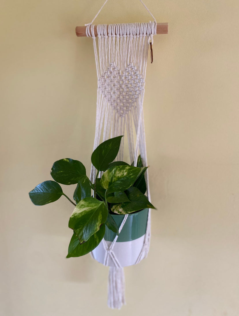 A green trailing plant hangs in a natural coloured macrame wall hanging plant holder with knotted heart detail on a wooden dowel against a pale yellow painted wall.
