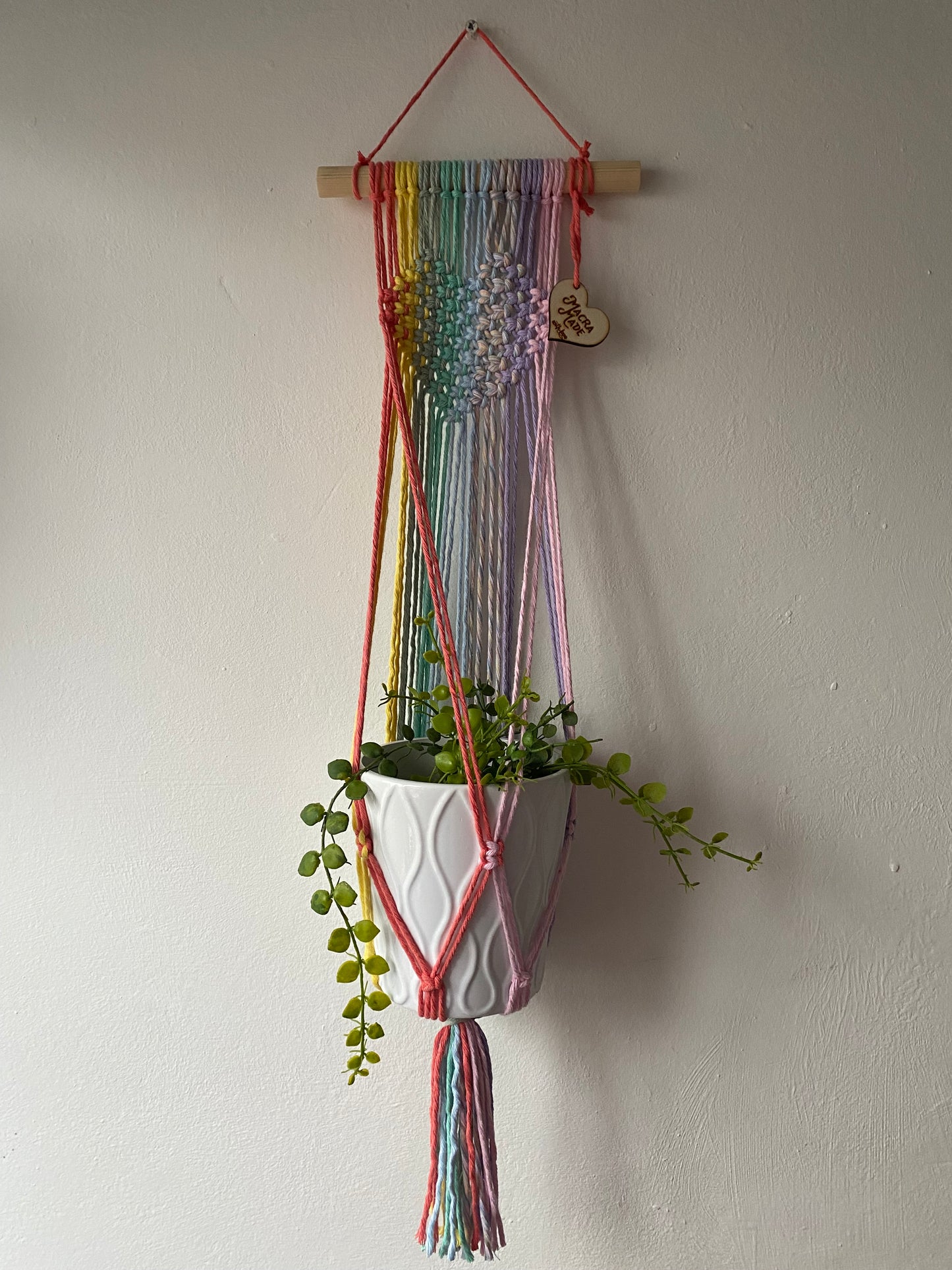 A green plant hangs in a pastel rainbow coloured macrame wall hanging plant holder with knotted heart detail against a white painted wall.