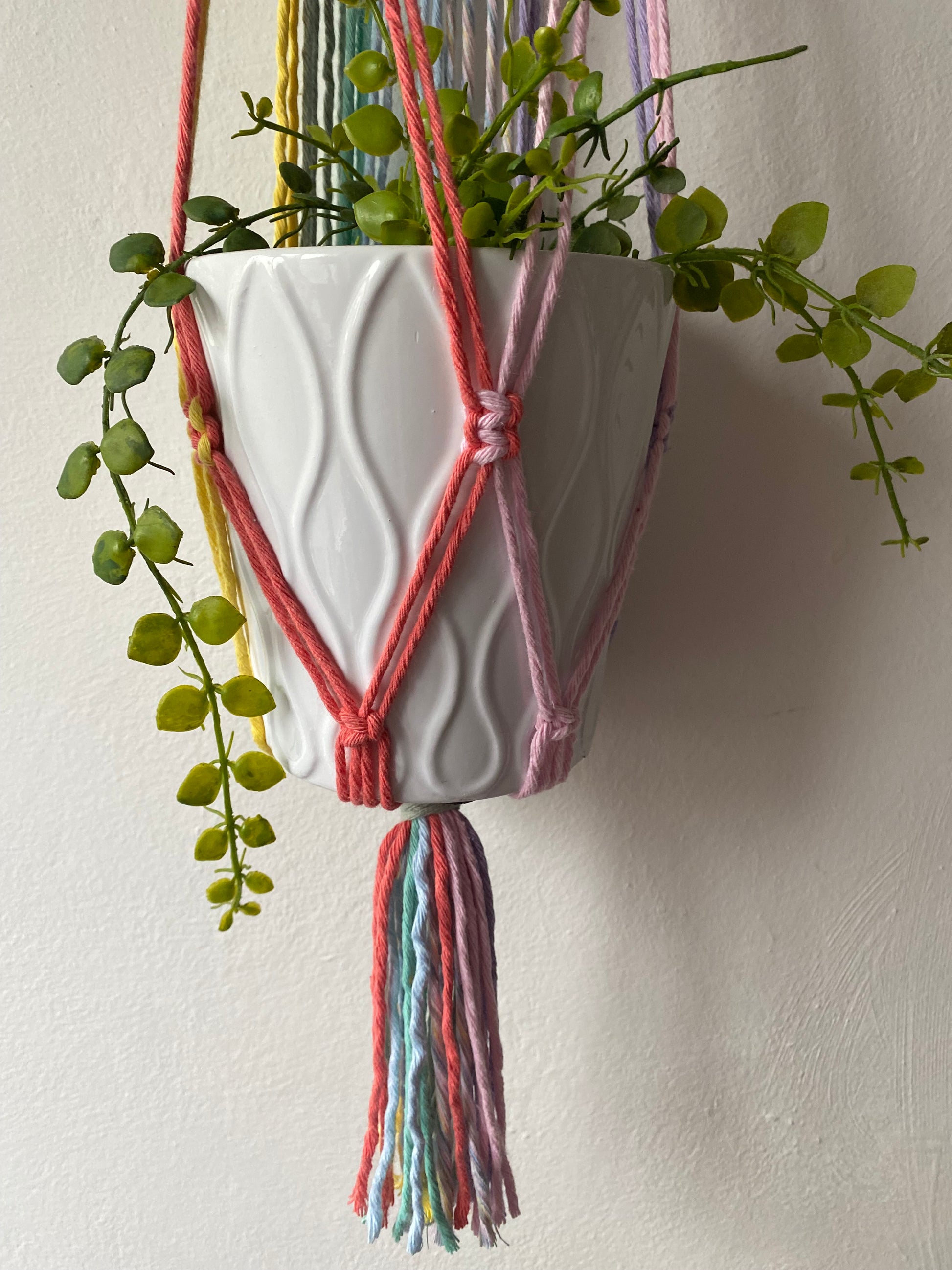 Close up of a green plant in a white ceramic pot, hanging in a pastel rainbow coloured macrame wall hanging plant holder against a white painted wall.