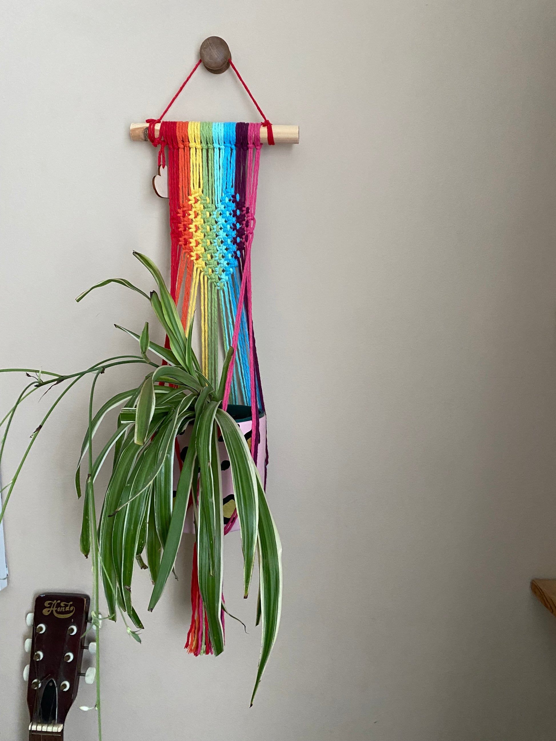A large green spider plant hangs in a rainbow coloured macrame wall hanging plant holder with knotted heart detail on a wooden dowel against a beige painted wall.