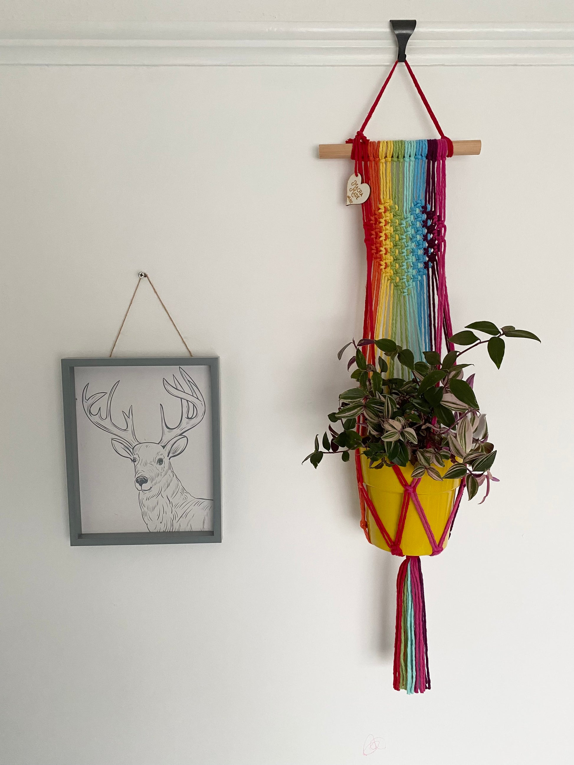 A houseplant in a yellow pot hangs in a rainbow coloured macrame wall hanging plant holder with knotted heart detail against a white painted wall, next to a framed drawing of a deer with large antlers.