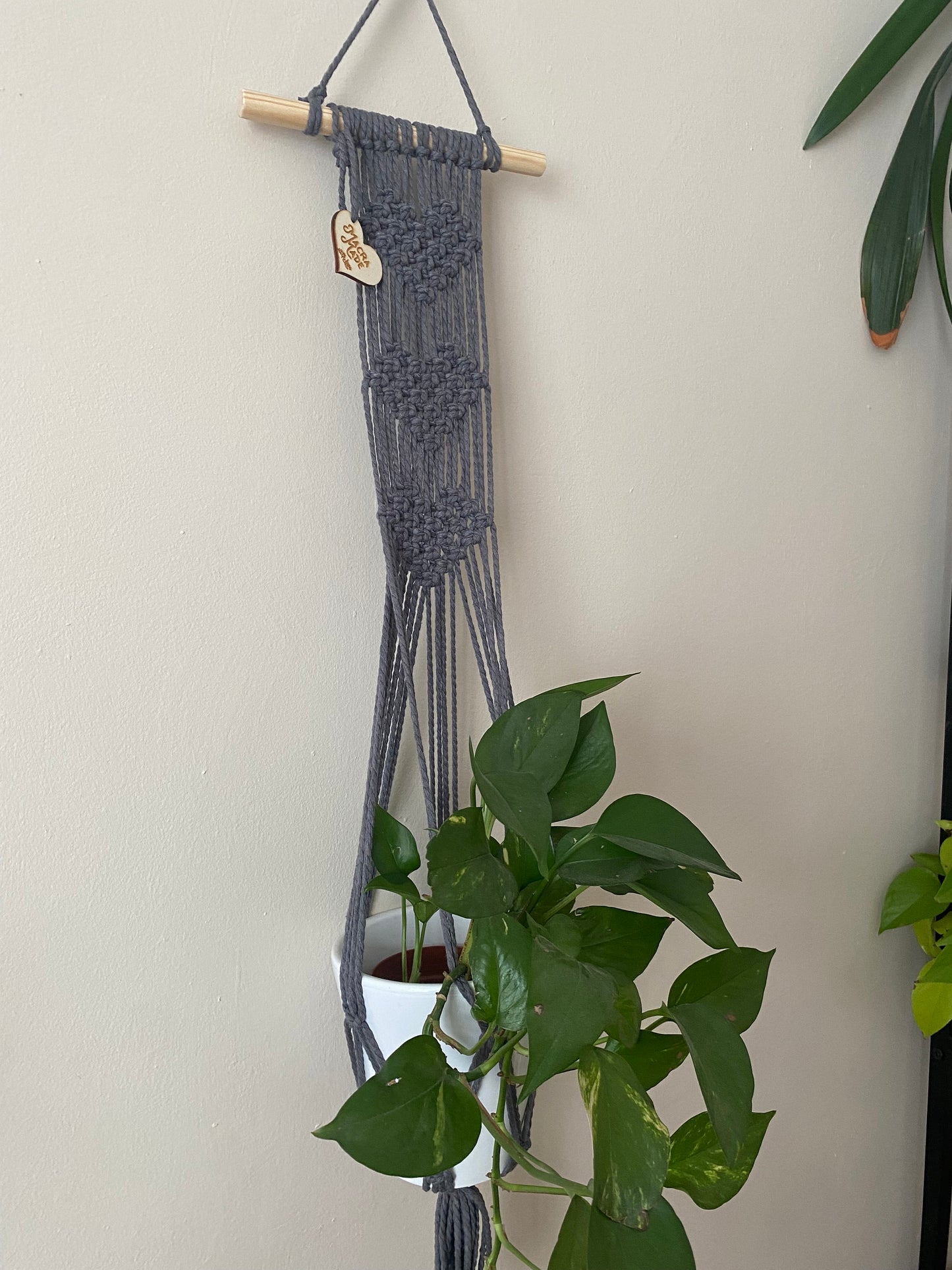 A trailing green plant in a ceramic pot, sits inside a long macrame wall hanging plant hanger with heart detail, made with slate grey yarn on a small wooden dowel.