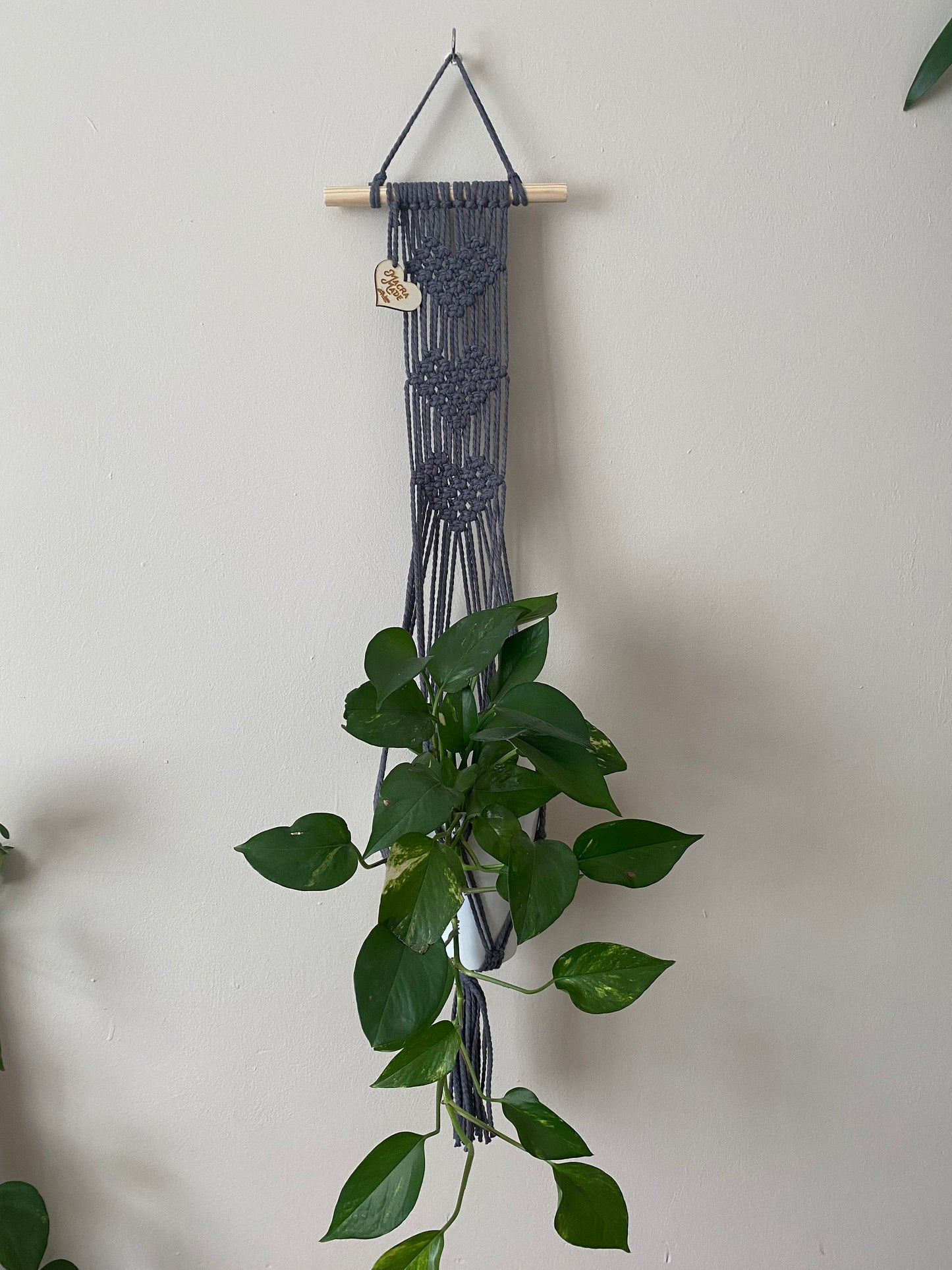 A trailing green plant in a ceramic pot, sits inside a long macrame wall hanging plant hanger with heart detail, made with slate grey yarn on a small wooden dowel.