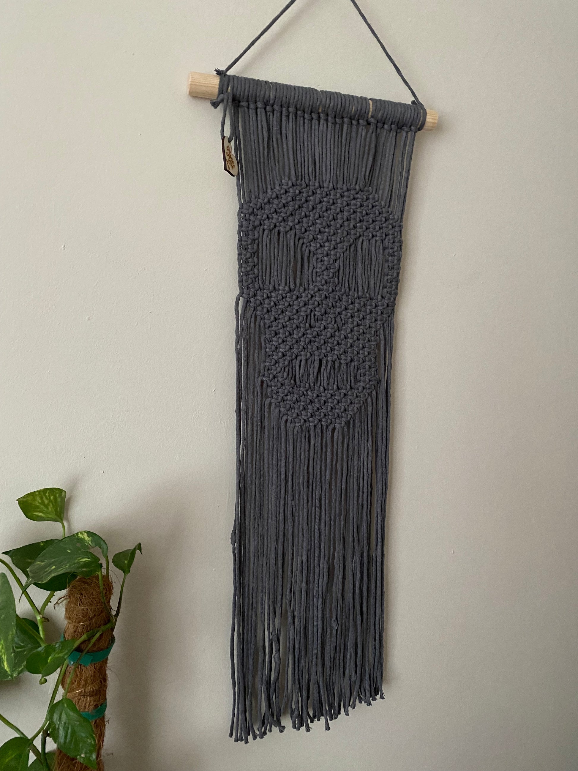 Side view of a long dark grey macrame wall hanging with a knotted pattern in the shape of a skull, made on a wooden dowel, hanging against a beige wall next to a green houseplant.