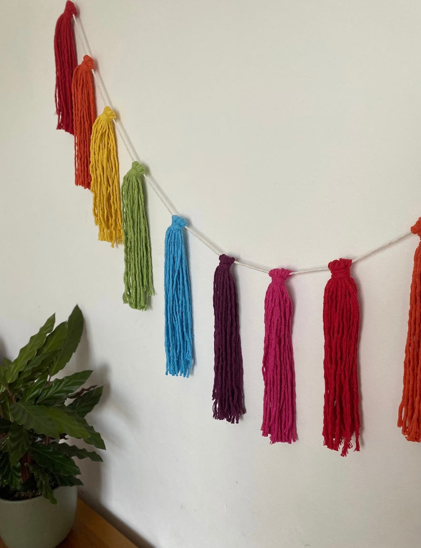 Macrame tassel garland, in rainbow colours, hanging on a white wall. There is a small green plant nearby.