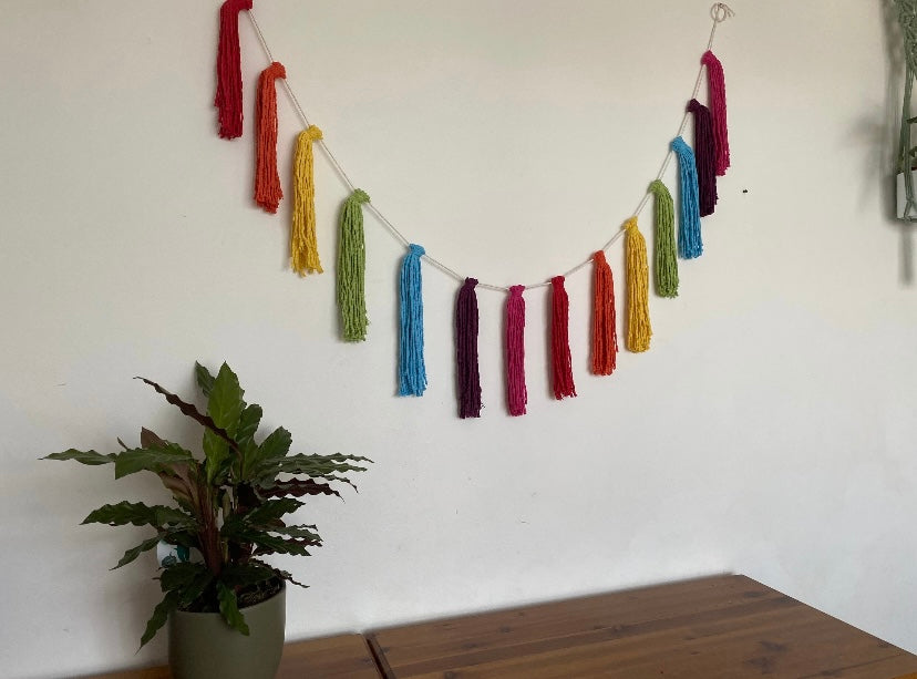 A long macrame tassel garland, in rainbow colours, hanging on a white wall. There is a small green plant on a table nearby.