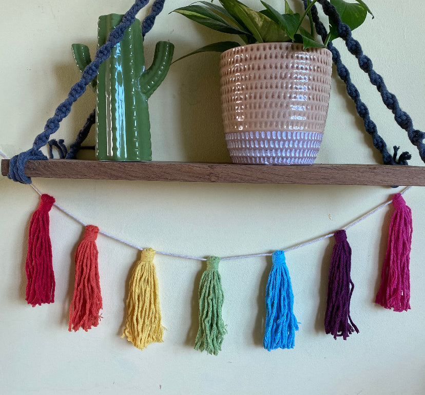 Macrame tassel garland, in rainbow colours, hanging underneath a wooden shelf, which has a plant and a vase in the shape of a cactus on it.