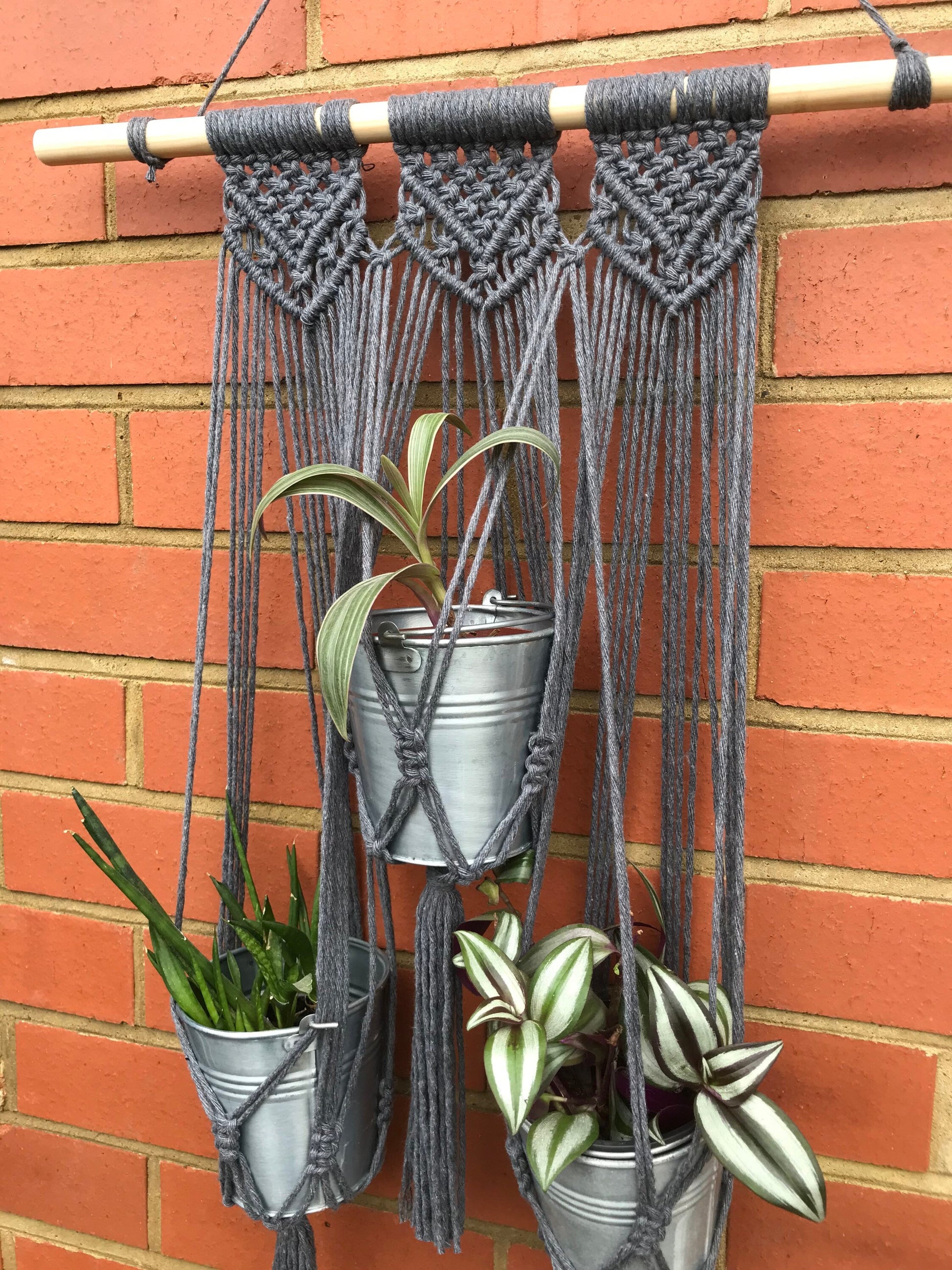 Close up of three small houseplants in metal pots hanging next to each other in a wall hanging macrame plant hanger, made with dark grey cotton on a long wooden dowel.