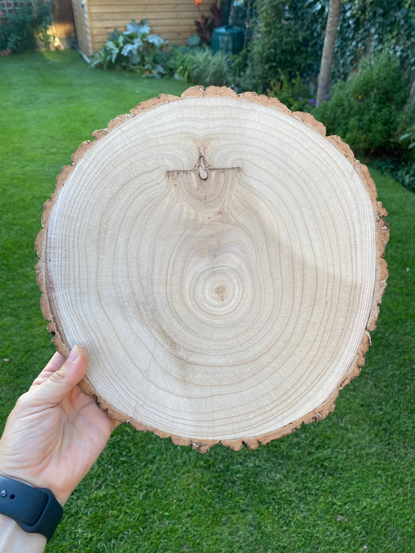 A hand holding a natural wood slice outside, with lush green grass and. plants in the background.