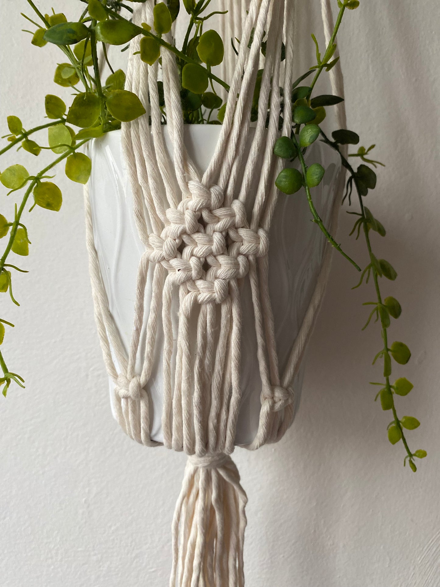 Close up of a green trailing plant in a white ceramic pot, suspended against a white wall in a handmade macrame plant holder, with a diamond pattern of knots where the plant pot sits.