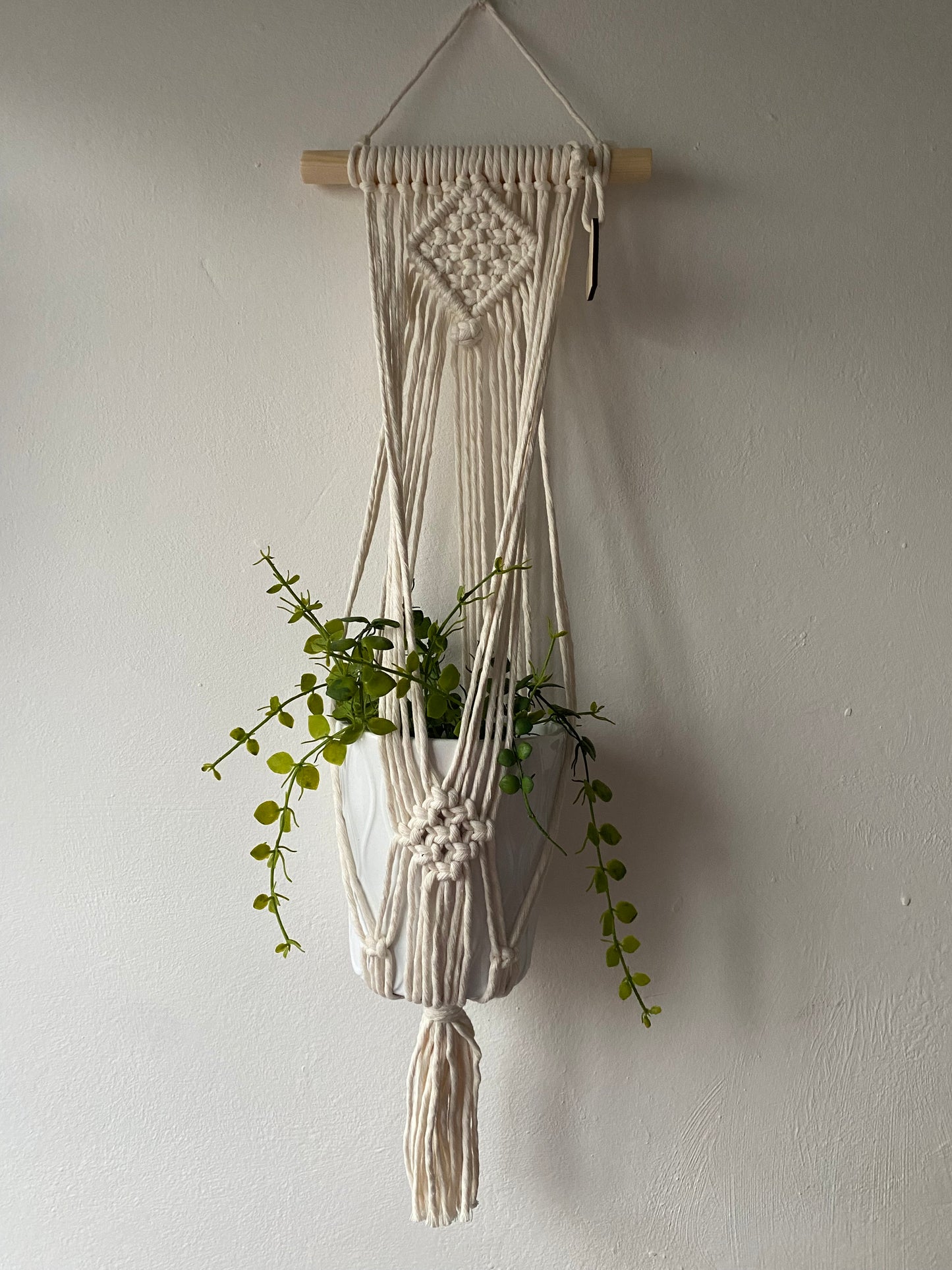 A green trailing plant in a white ceramic pot, suspended against a white wall in a handmade macrame plant holder, made with natural cotton on a pale wood dowel