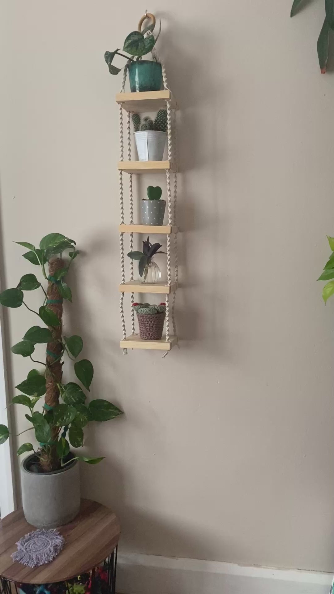 Video showing handmade macrame rope shelves, made with small square wooden shelves, held together with natural knotted rope. Displayed hanging on a white wall, with small houseplants on each shelf.