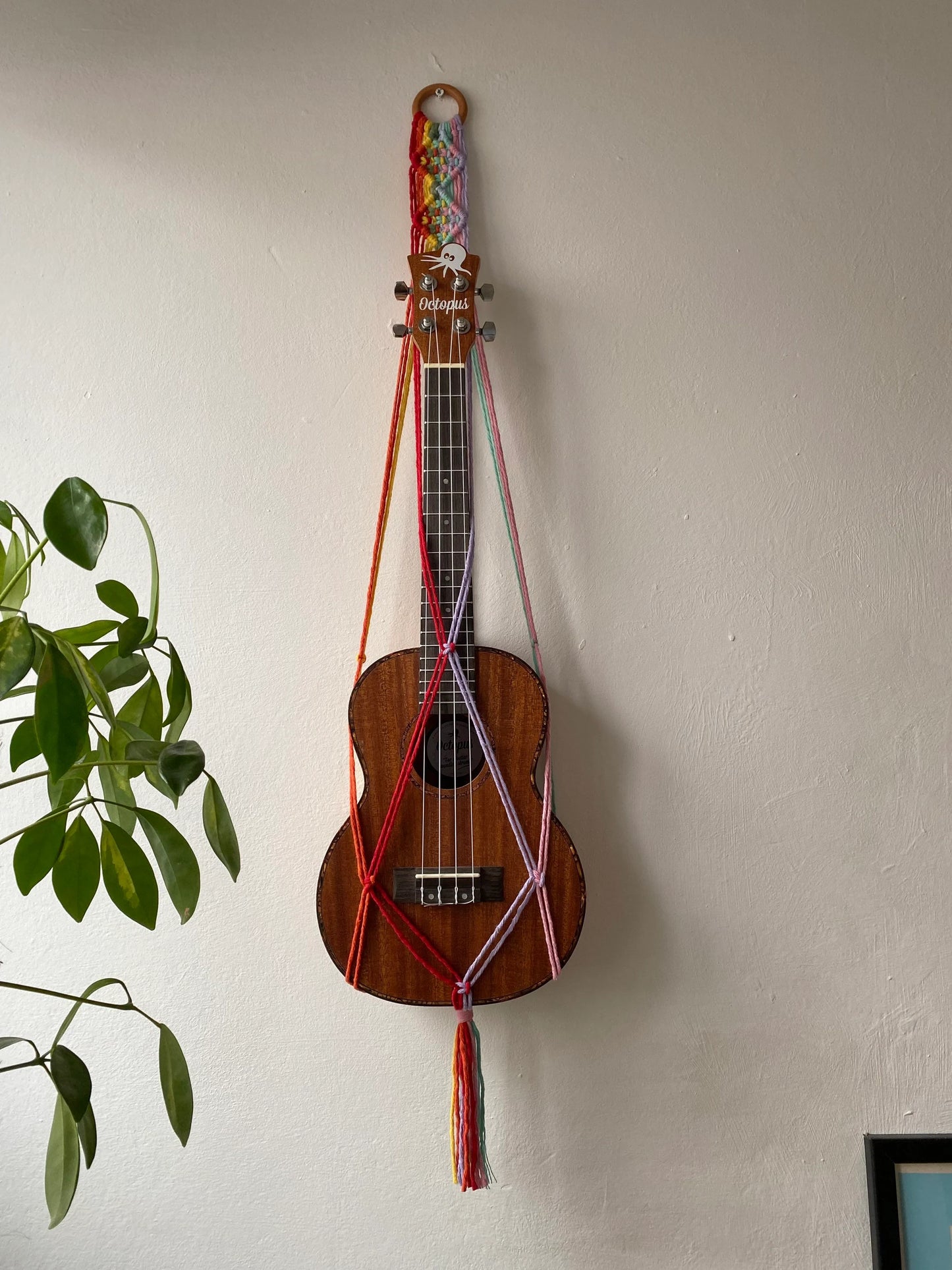 A dark brown ukulele sits inside of a handmade macrame wall hanging ukulele hanger, which is made with rainbow colours of recycled cotton, and a repurposed wooden hanging ring. A large green leafy plant is to the left of the image.