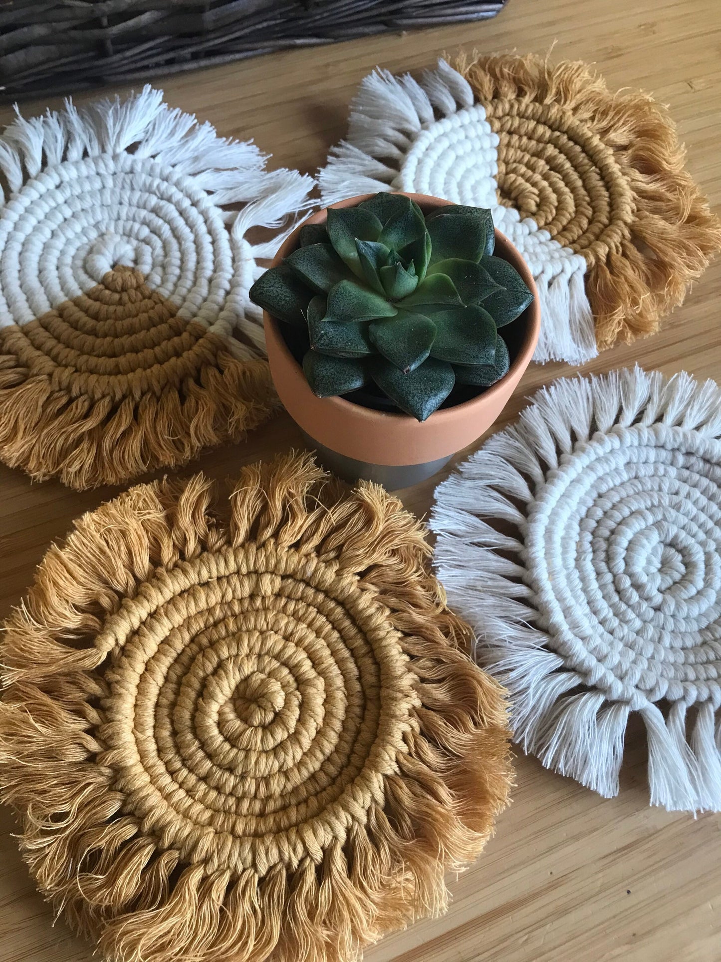 A close up image of a set of 4 round macrame coasters made with mustard yellow and natural yarns, with a soft fringed edge, placed on a wooden table, with a small succulent houseplant in the middle of them.