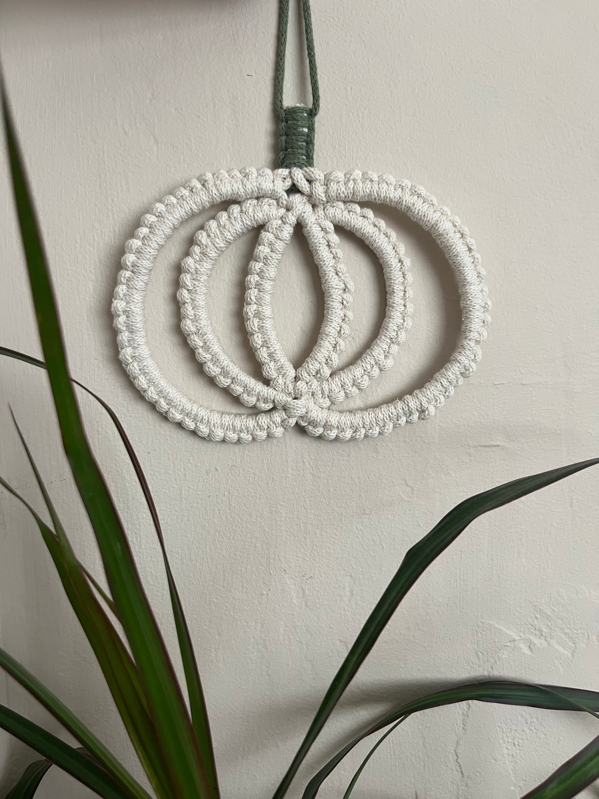Pumpkin shaped macrame wall hanging decoration made with natural coloured recycled cotton yarn, hanging on a beige painted wall behind a green houseplant.