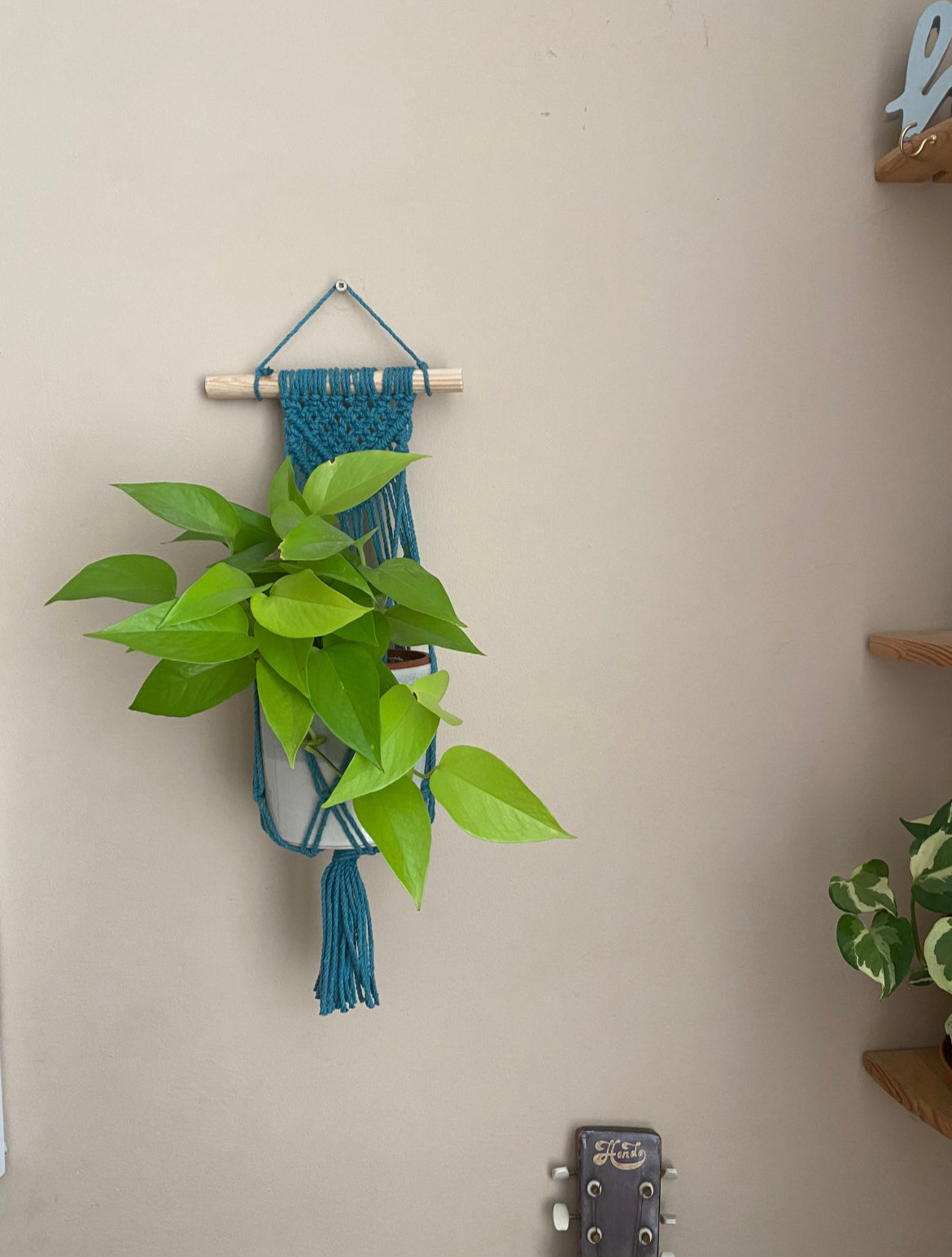 A teal blue macrame wall hanging plant hanger displayed against a neutral wall, holding a bright green potted plant.
