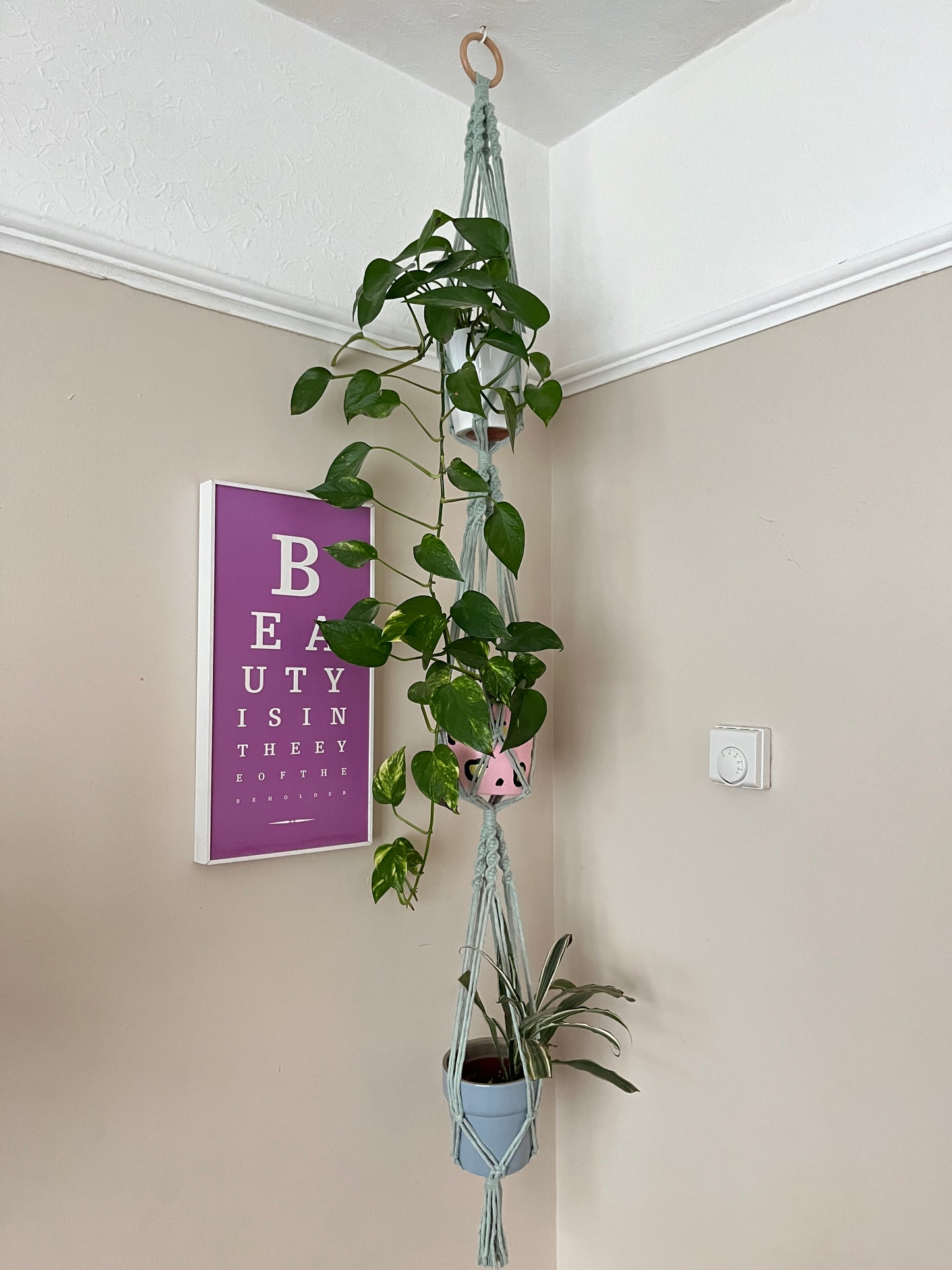 A large macrame plant hanger with three green plants in it, hangs suspended from the ceiling with a wooden ring, in a room corner with beige painted walls and white ceiling. There is a pink print hanging on the wall next to the plant hanger.