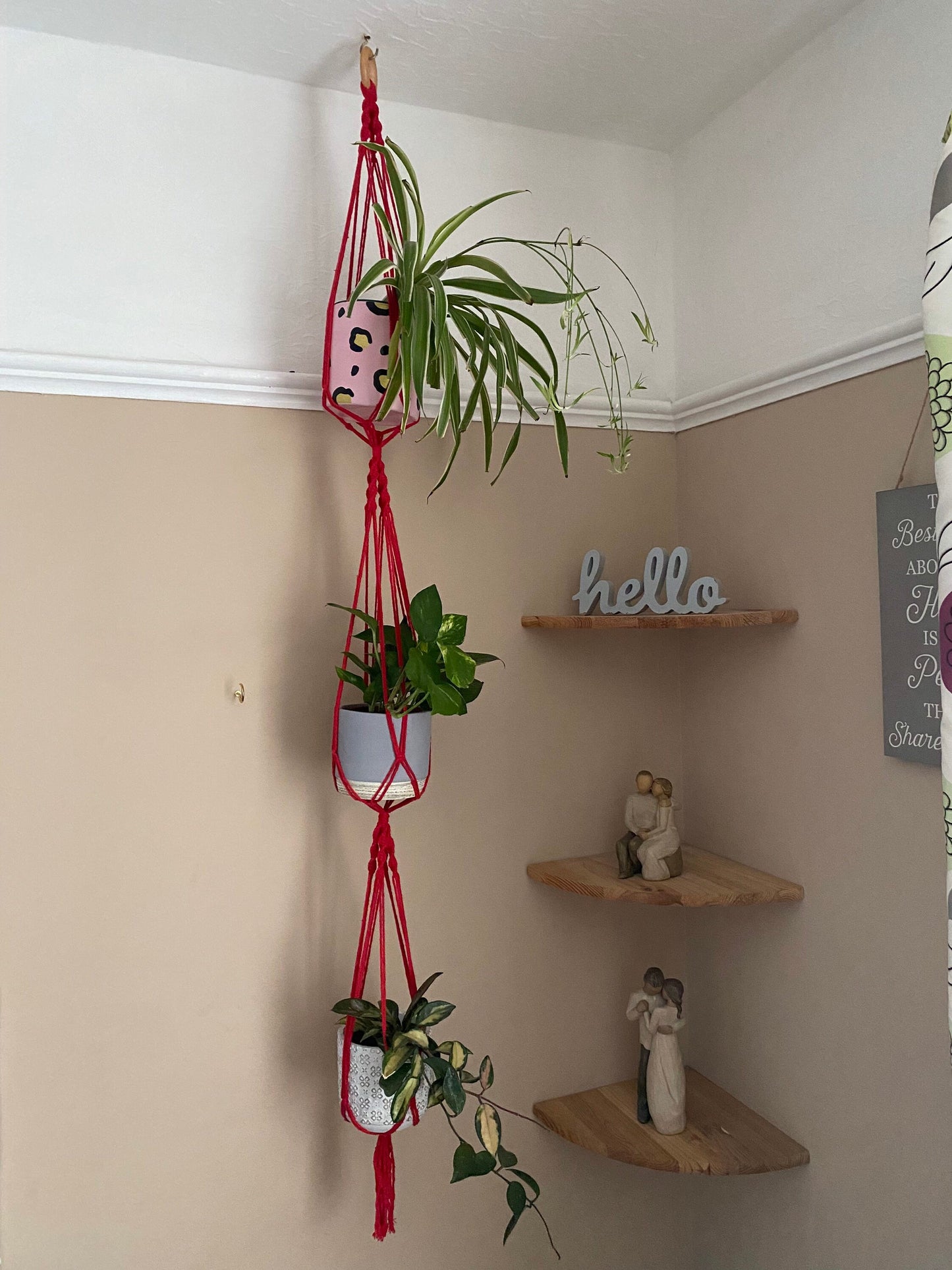 Three large green plants in ceramic plant pots, hang vertically in a handmade macrame triple plant hanger, made with red coloured yarn, suspended from the ceiling with a wooden ring.