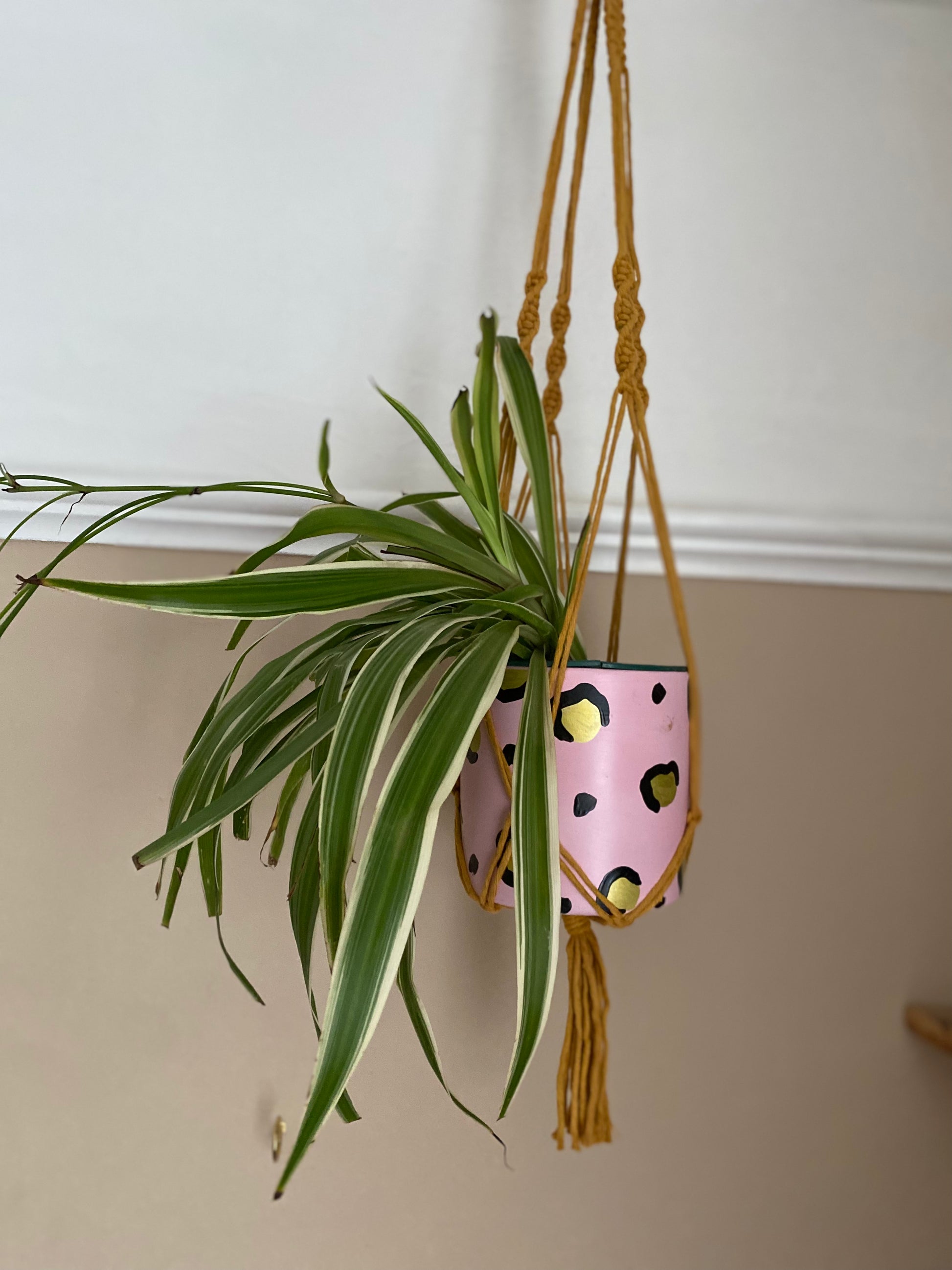 A large spider plant hangs in a pink patterned plant pot, suspended from the ceiling in a macrame plant hanger made with mustard yellow yarn.
