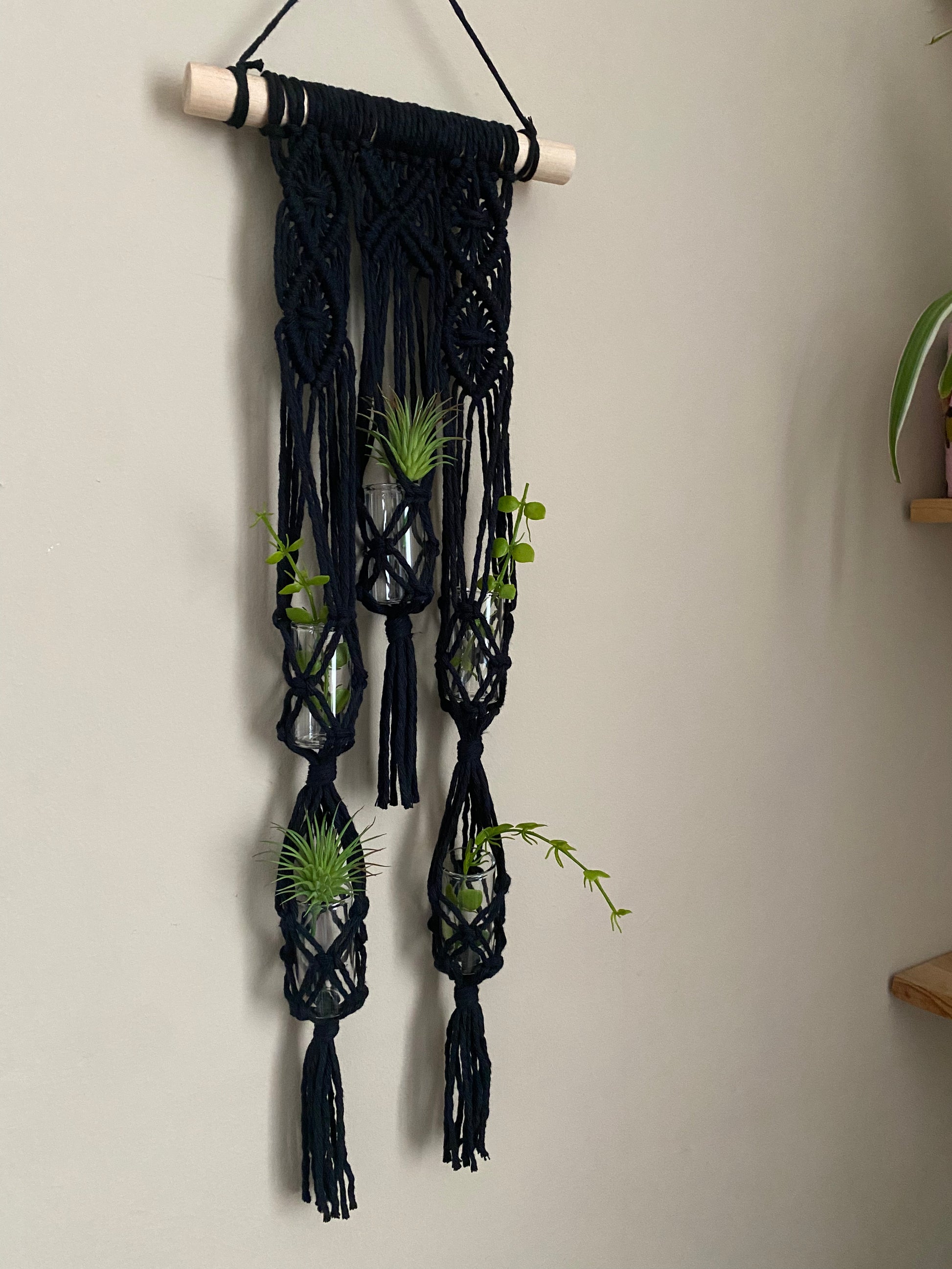 Macra-Made With Love Macrame wall hanger houseplant propagation station made with black yarn on a wooden dowel, displayed holding 5 small green plants, against a beige wall.