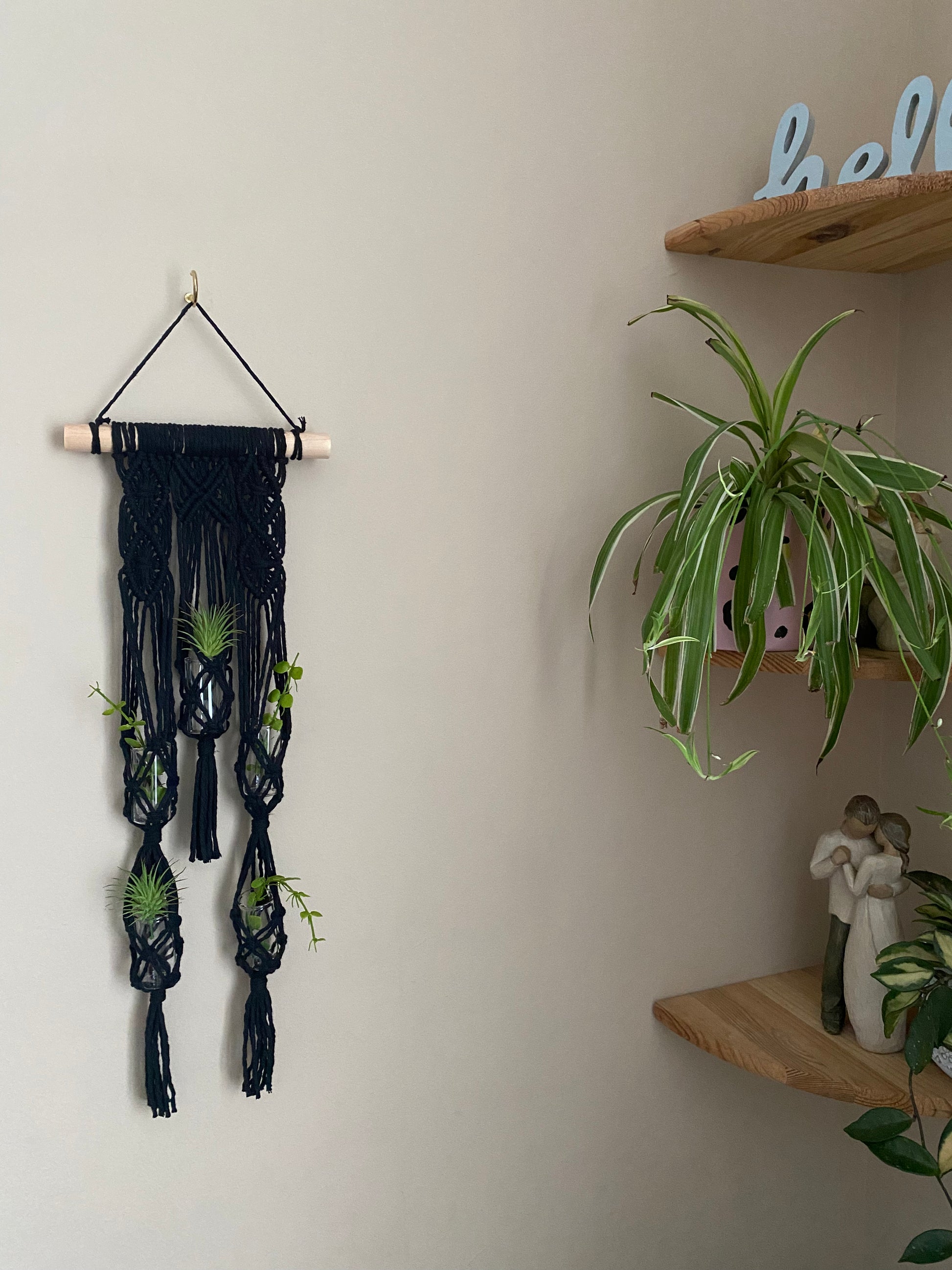 Macra-Made With Love Macrame wall hanger houseplant propagation station made with black yarn on a wooden dowel Holding 5 small green plants against a beige wall.