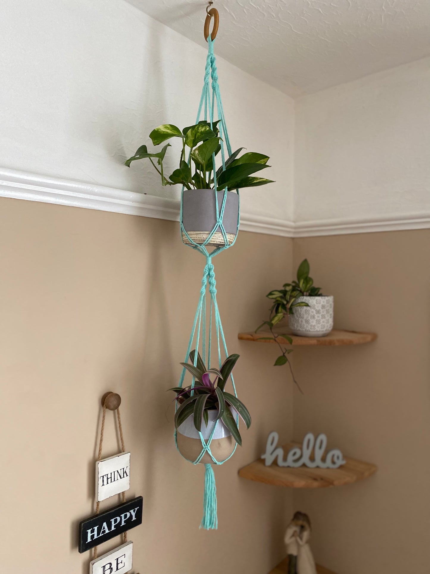 Two trailing plants in ceramic pots, suspended vertically in a large double macramé plant hanger, made with mint coloured yarn and a wooden hanging ring, in the corner of a room with beige walls. There is a set of corner shelves in the background.
