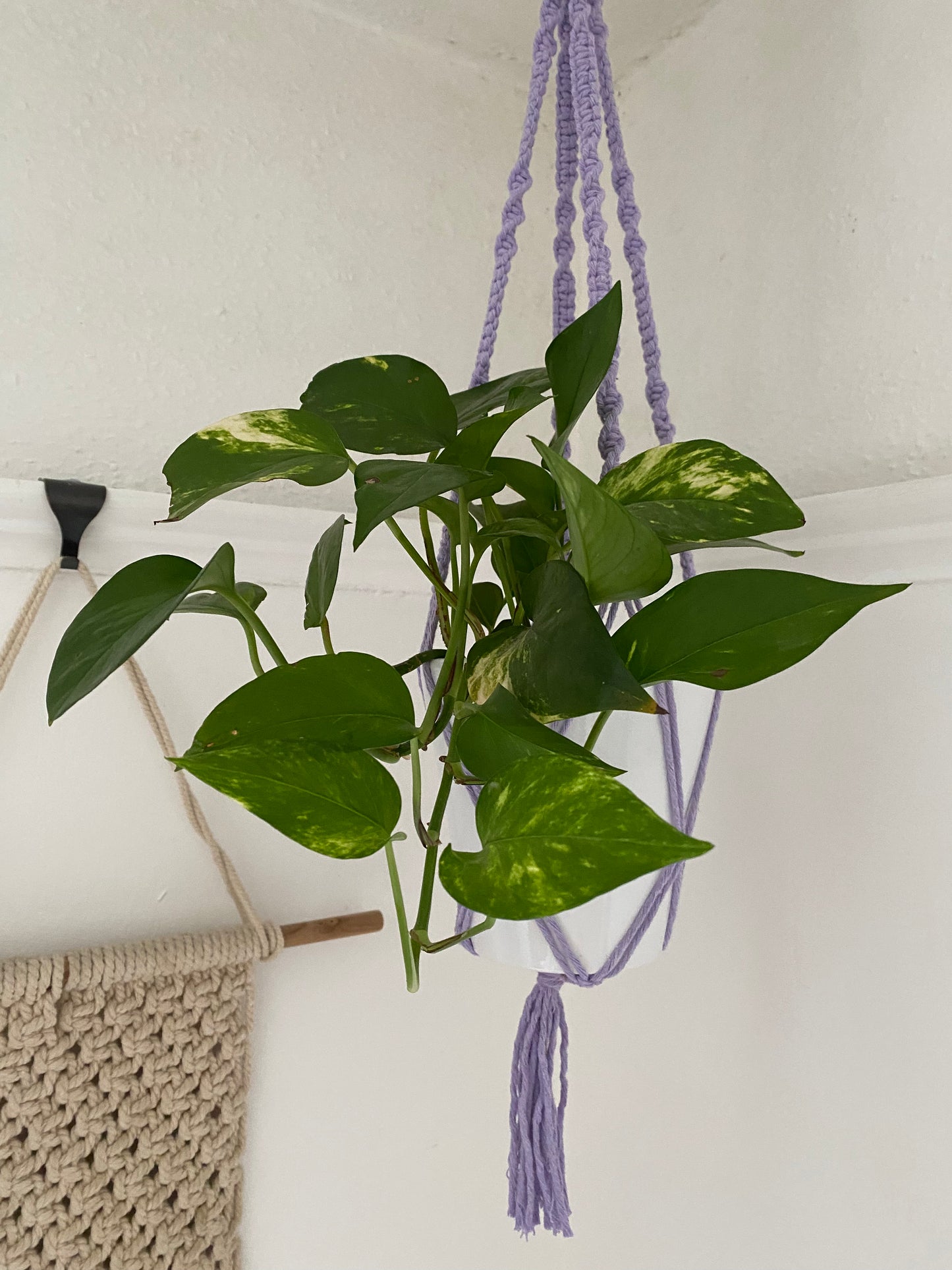 Macra-Made With Love short colourful macrame plant hanger lilac