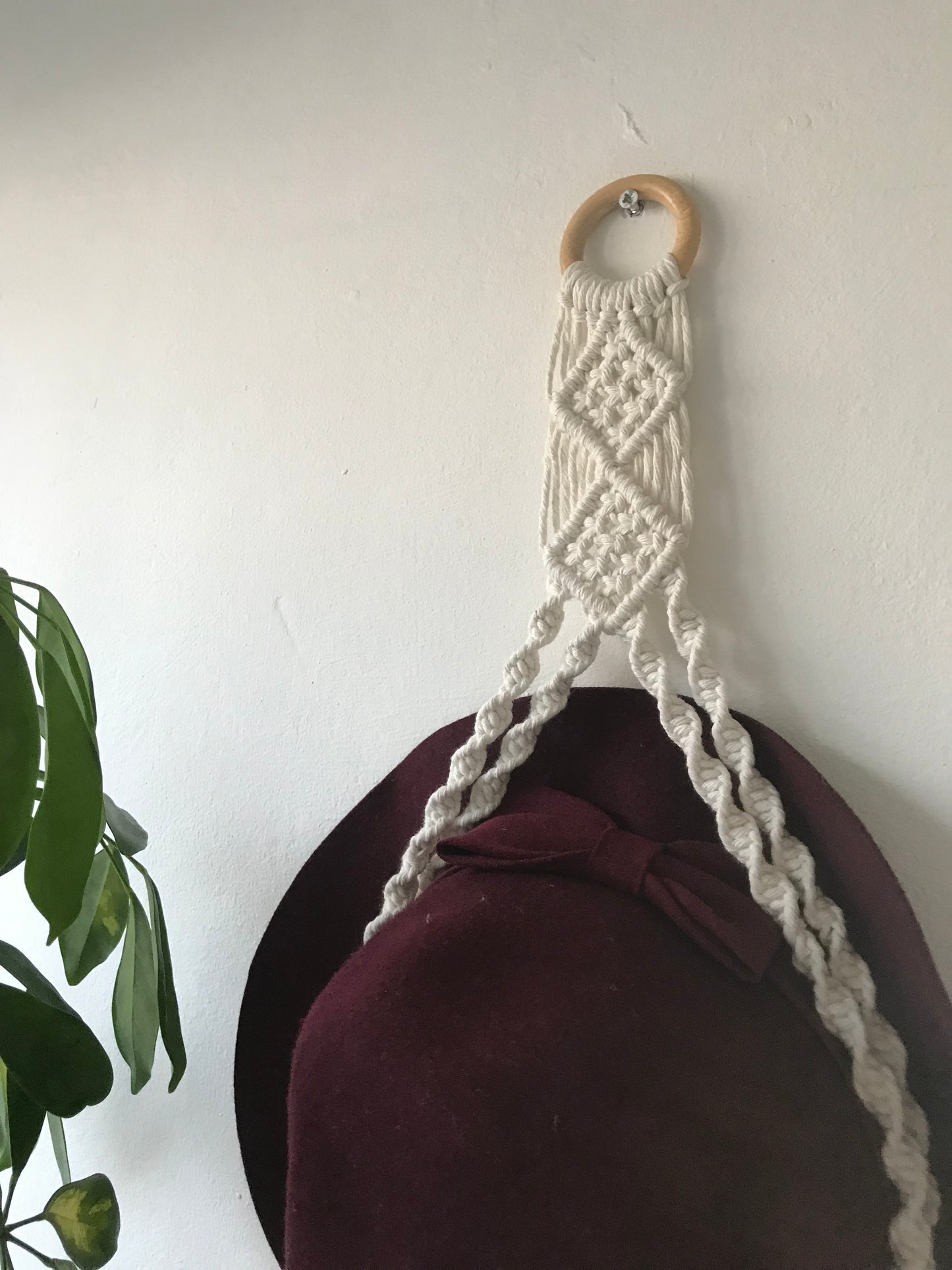 Hat Display Hanger for Wall