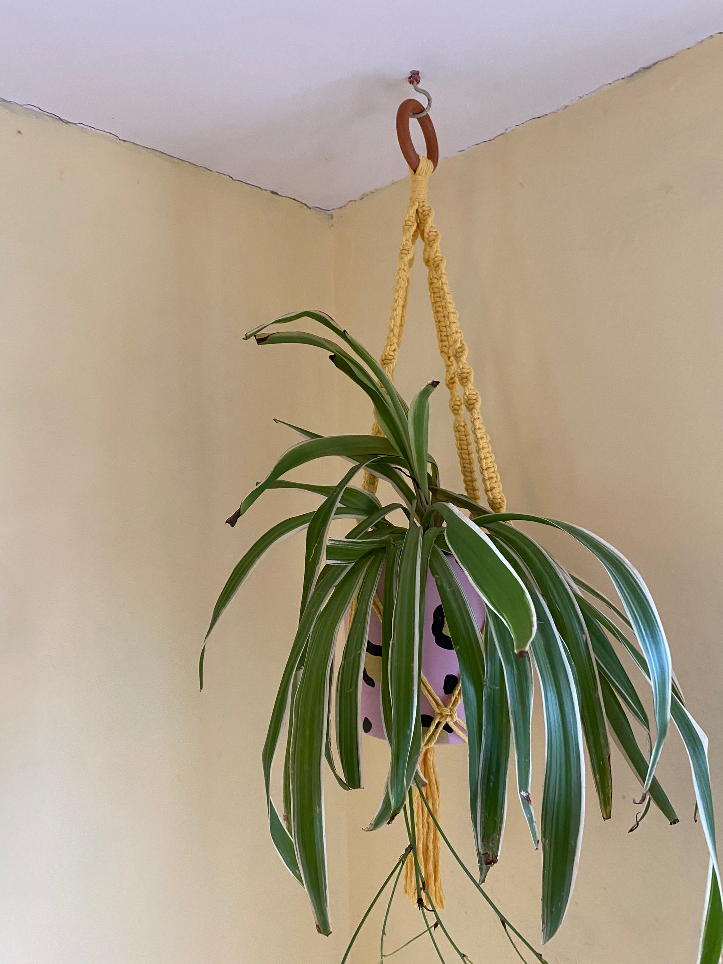 Macra-Made With Love short colourful macrame plant hanger yellow
