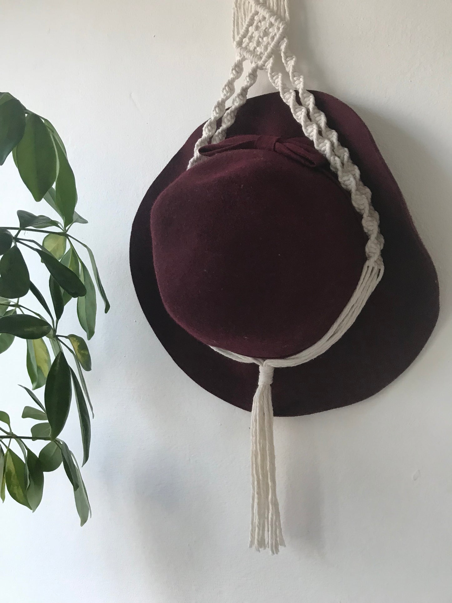 Hat Display Hanger for Wall
