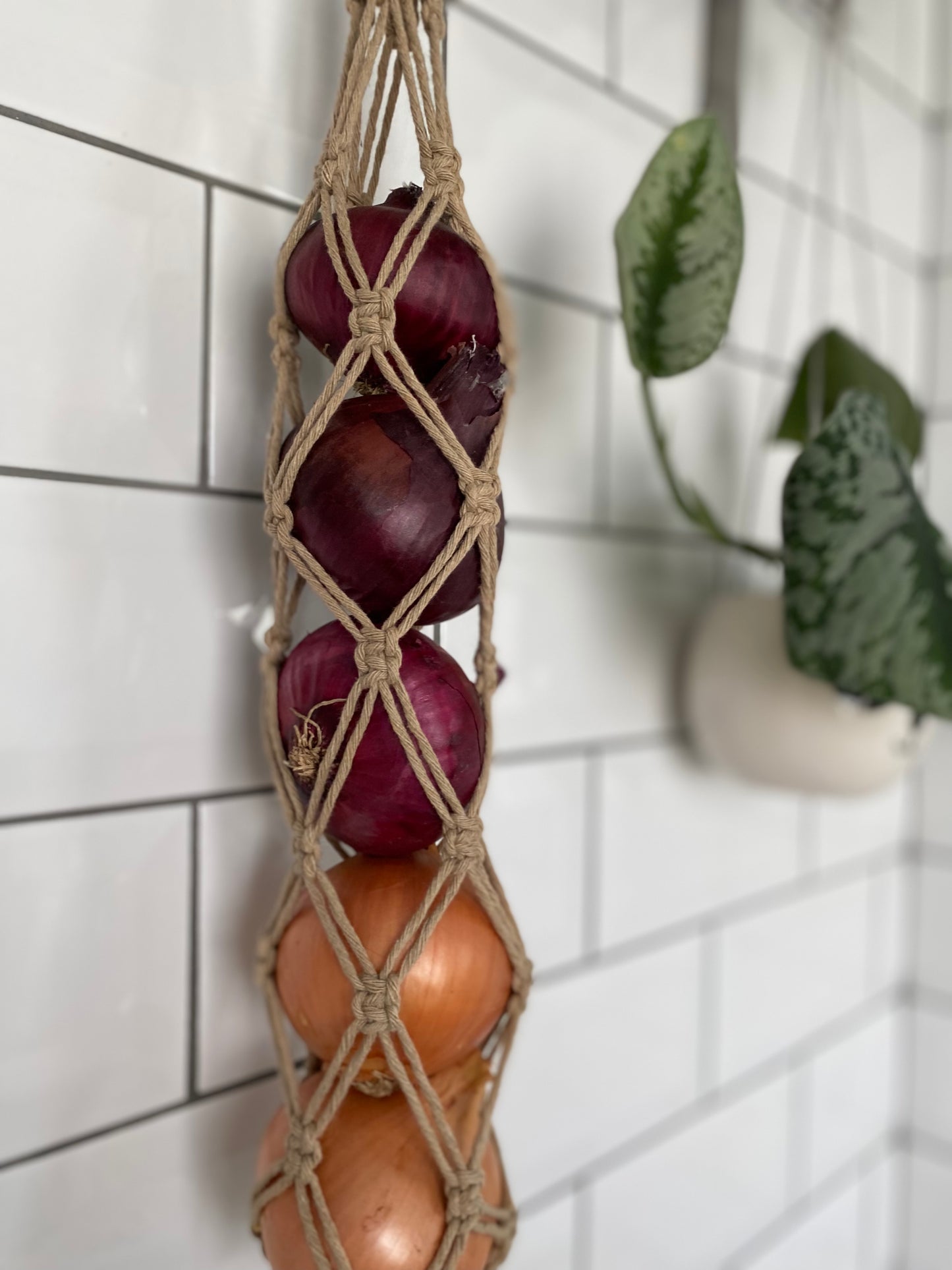 fruit veg keeper kitchen decor taupe close