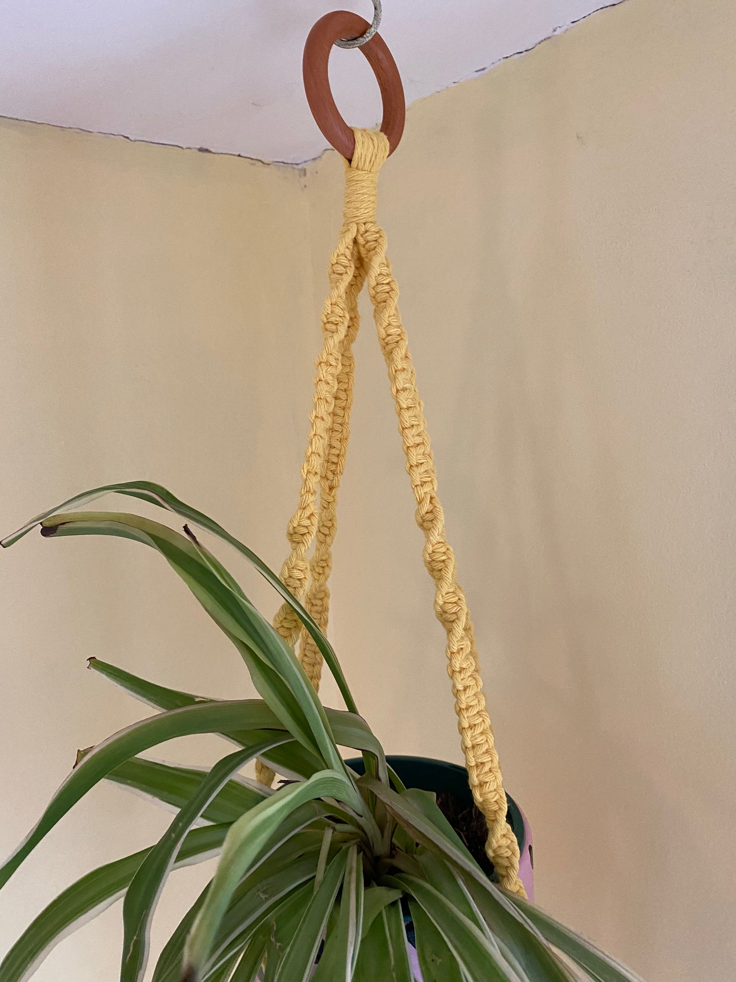 Macra-Made With Love short colourful macrame plant hanger yellow top