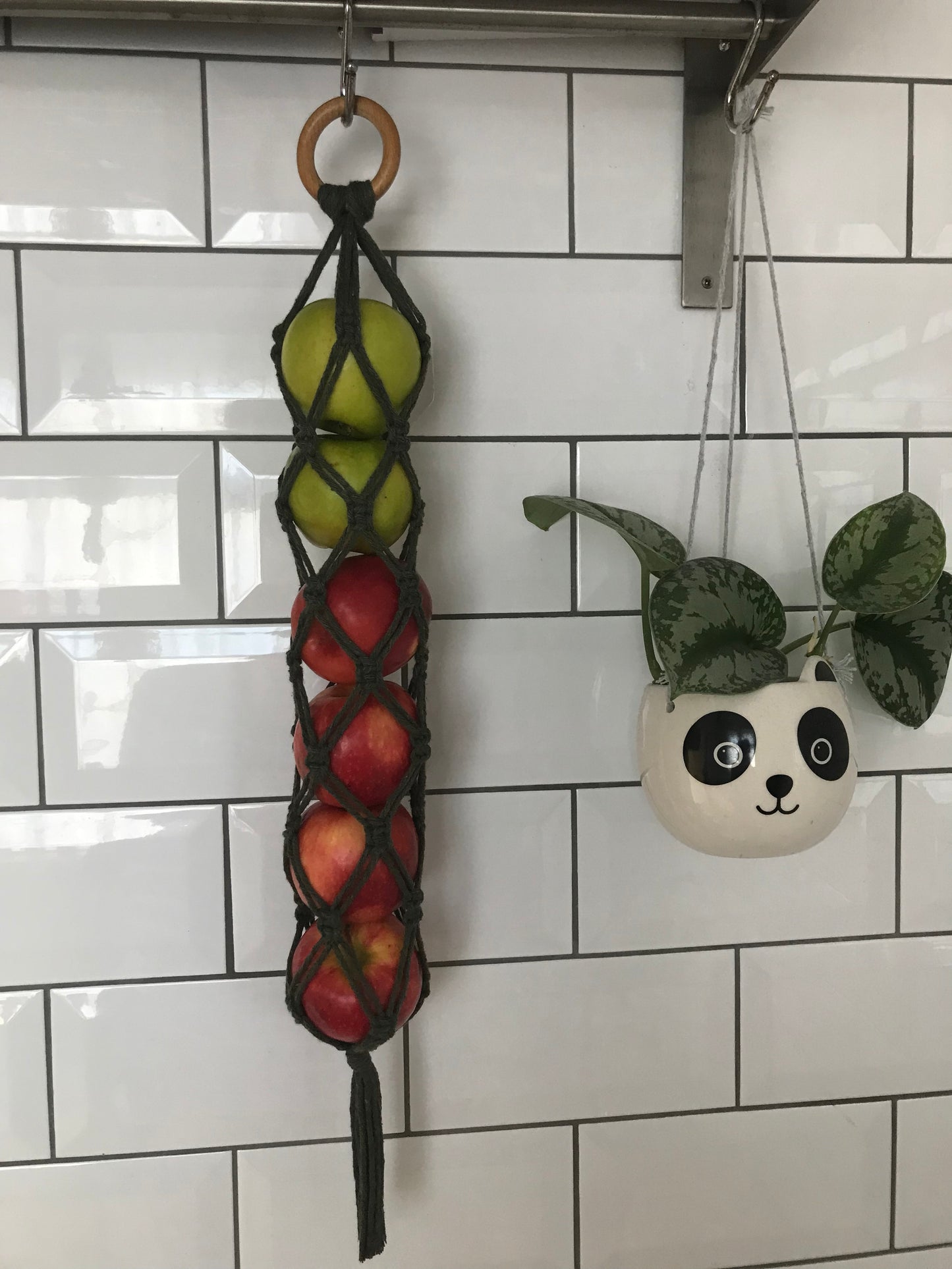 fruit veg keeper kitchen decor green close