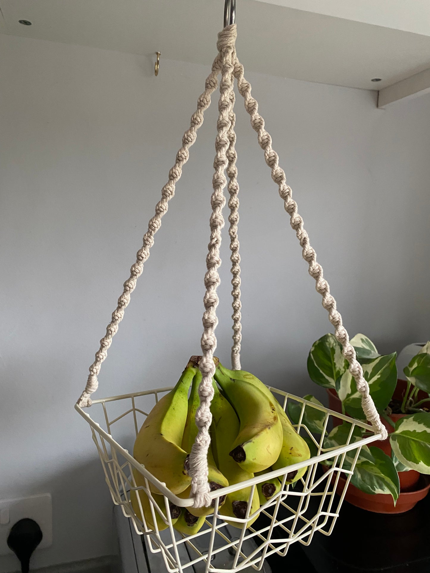 Bananas in a metal basket, suspended by natural macrame ropes on a metal hoop, hanging next to a variegated houseplant.