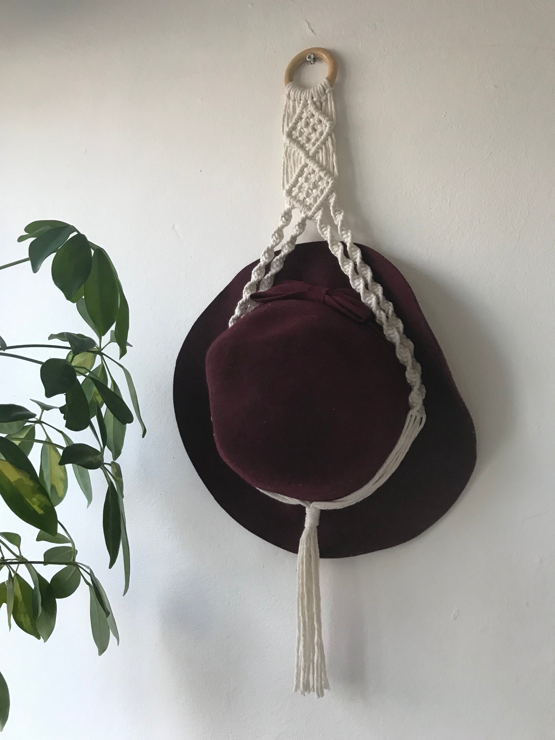 A dark red hat is suspended inside a macrame hat holder, made with natural coloured yarn and a wooden ring, against a white wall. There is a tall green houseplant nearby.