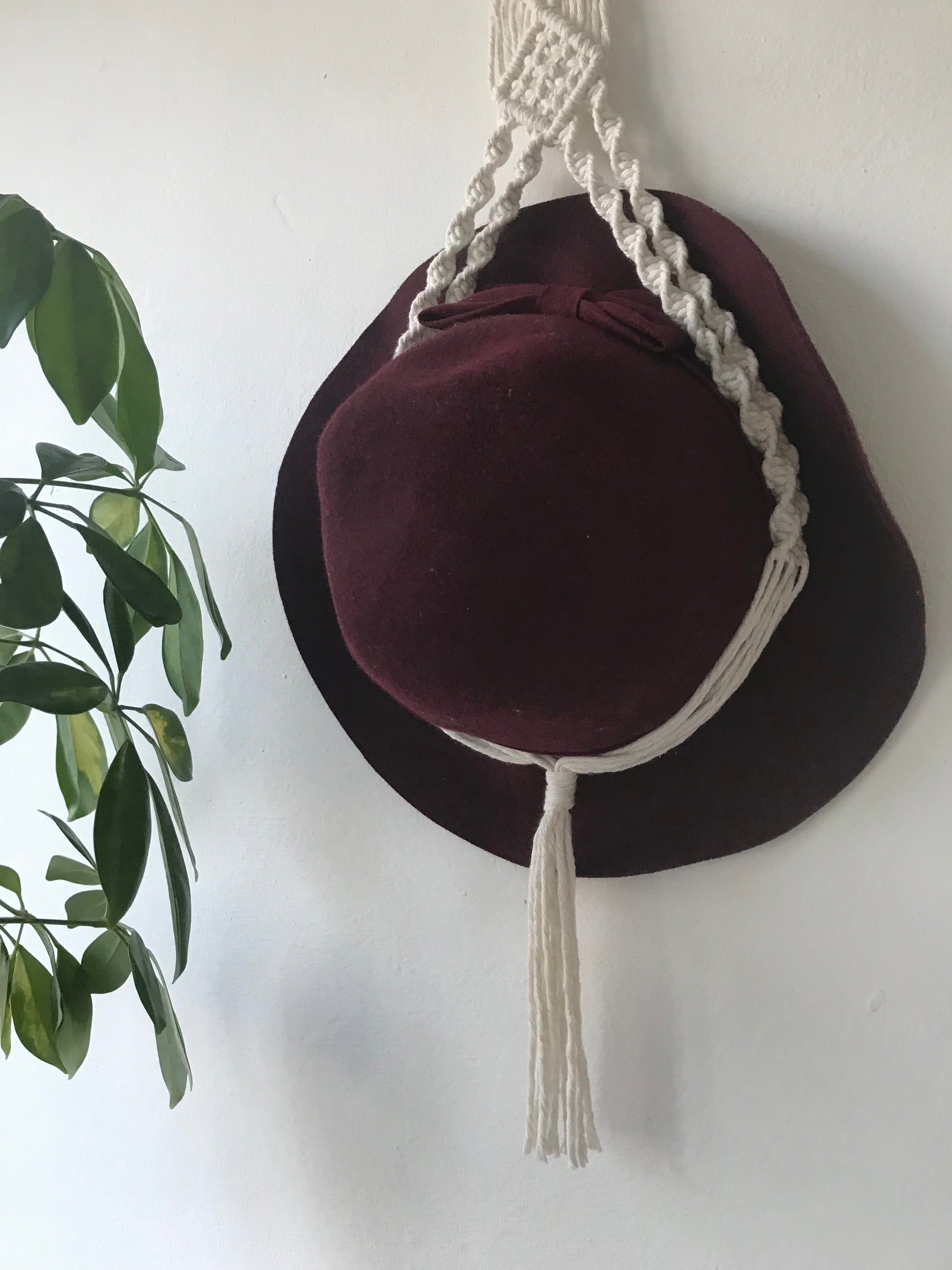 A dark red hat is suspended inside a macrame hat holder, made with natural coloured yarn against a white wall. There is a tall green houseplant nearby.