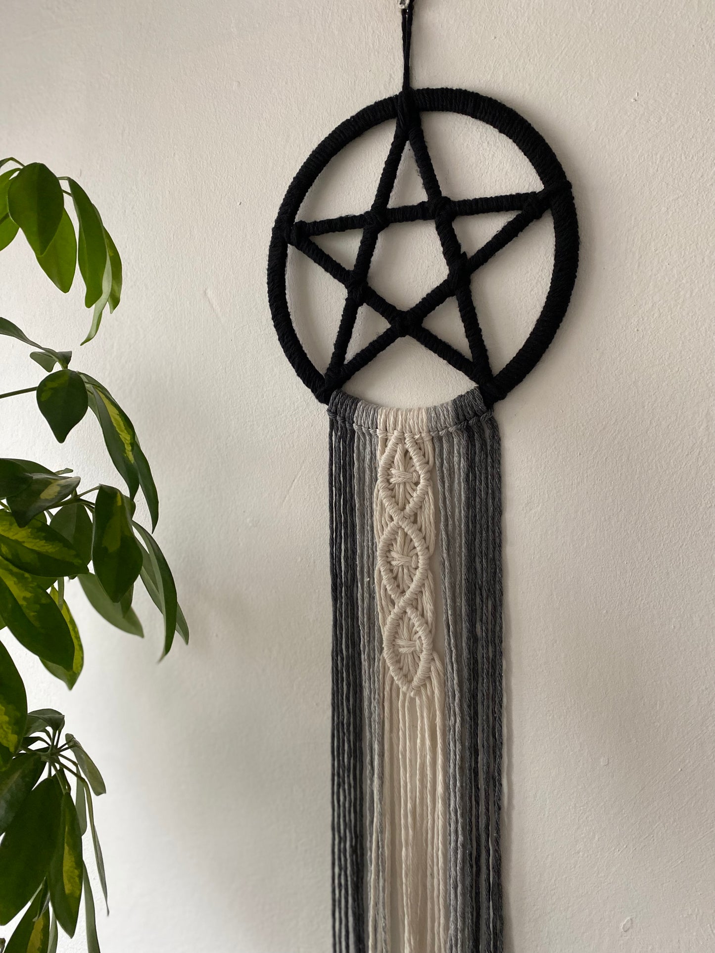 Close up of a handmade macrame pentagram wall hanging made with black, grey and natural long flowing tails, hanging against a white wall next to a tall green houseplant.