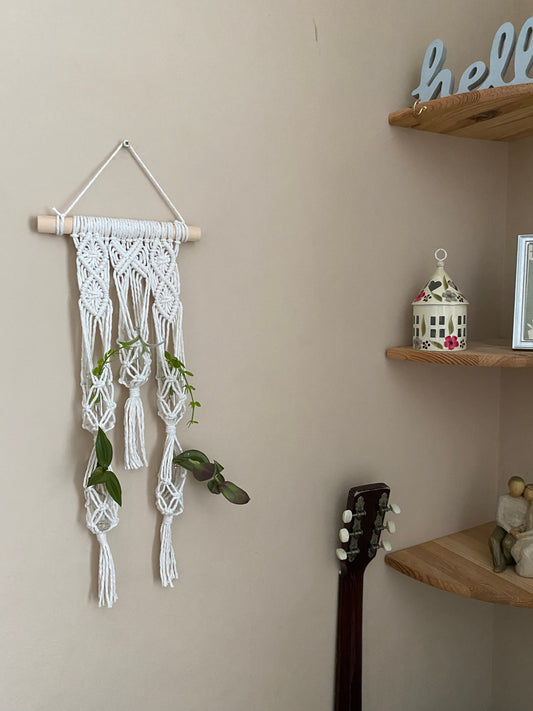 A Macrame wall hanging houseplant propagation station holding small green plants in glass tubes. Made with natural coloured recycled cotton.