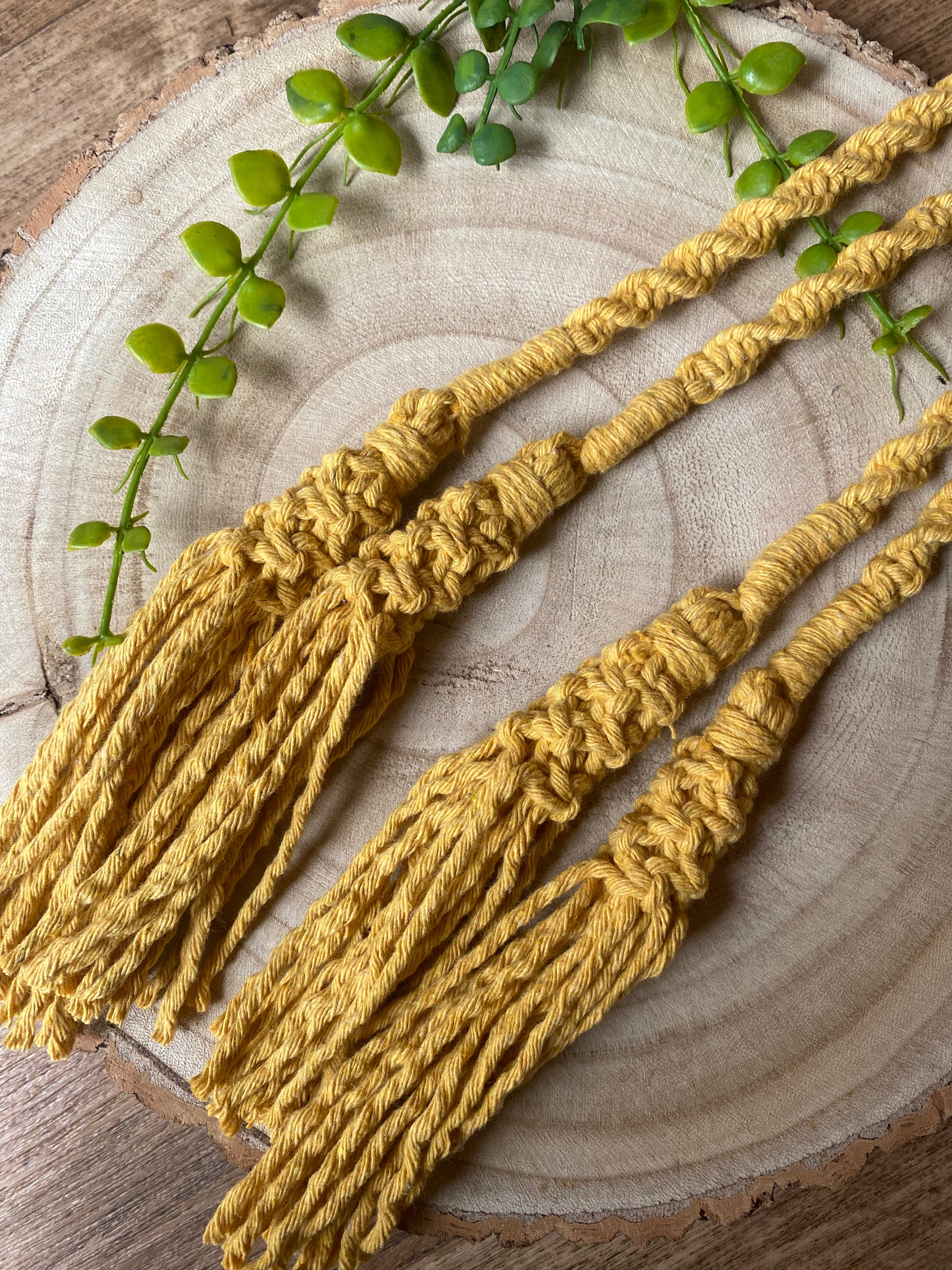 A pair of knotted macrame tassel tiebacks, made with mustard yellow cotton yarn, on a wooden board with some green plant vines.