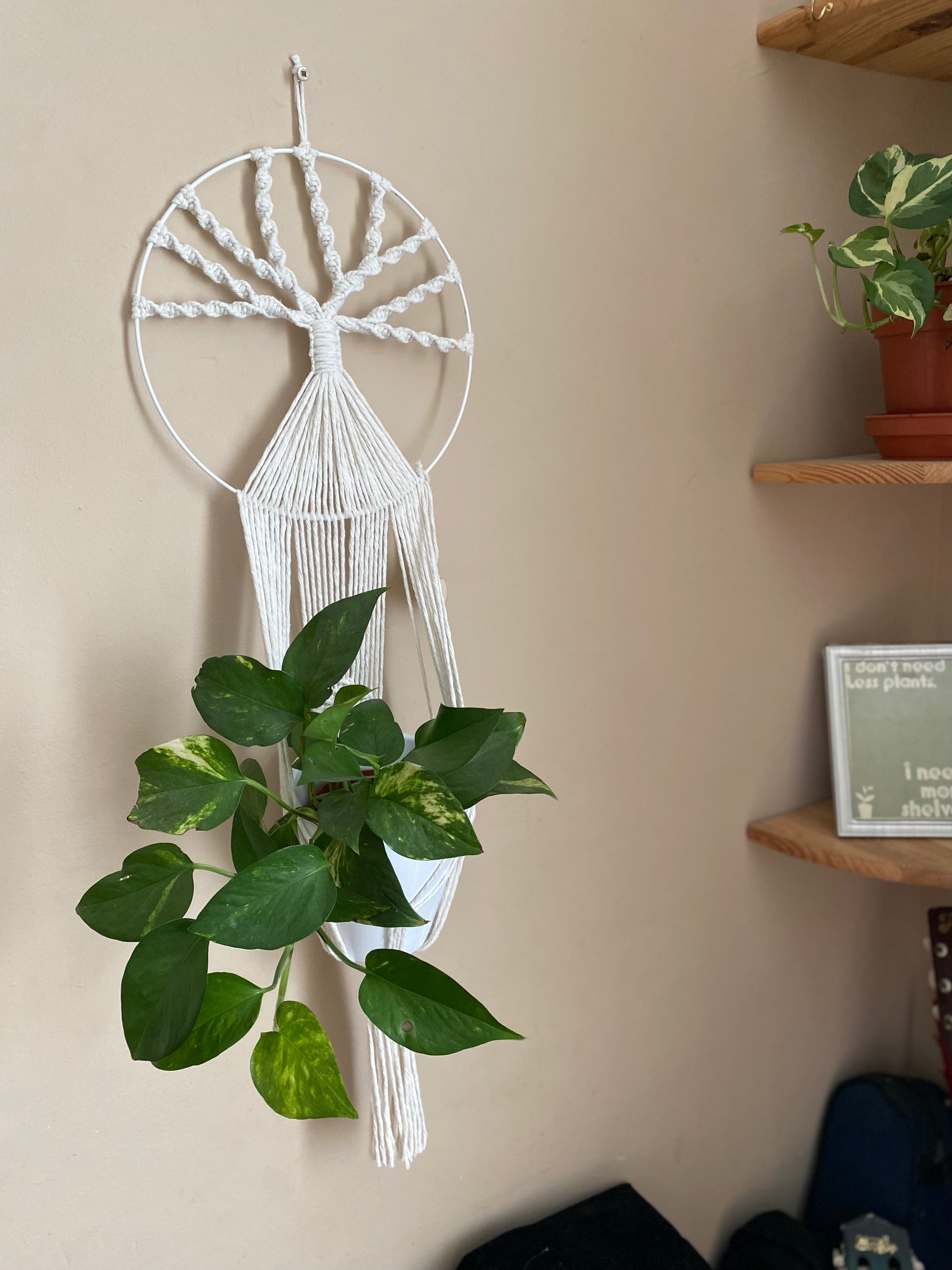 Handmade macramé Tree of Life plant holder with knotted tree design and trailing cords, holding a green trailing plant, against a beige wall.