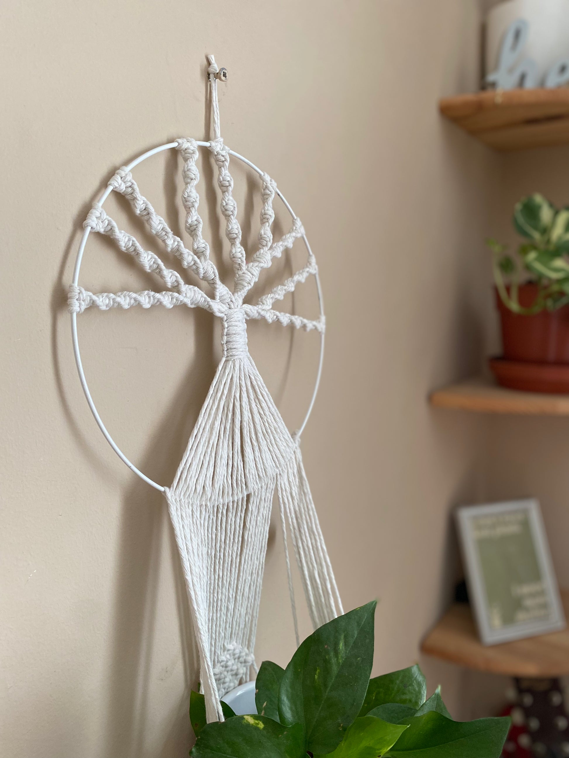 Close up of a handmade macramé Tree of Life plant holder with knotted tree design holding a green trailing plant, against a beige wall.