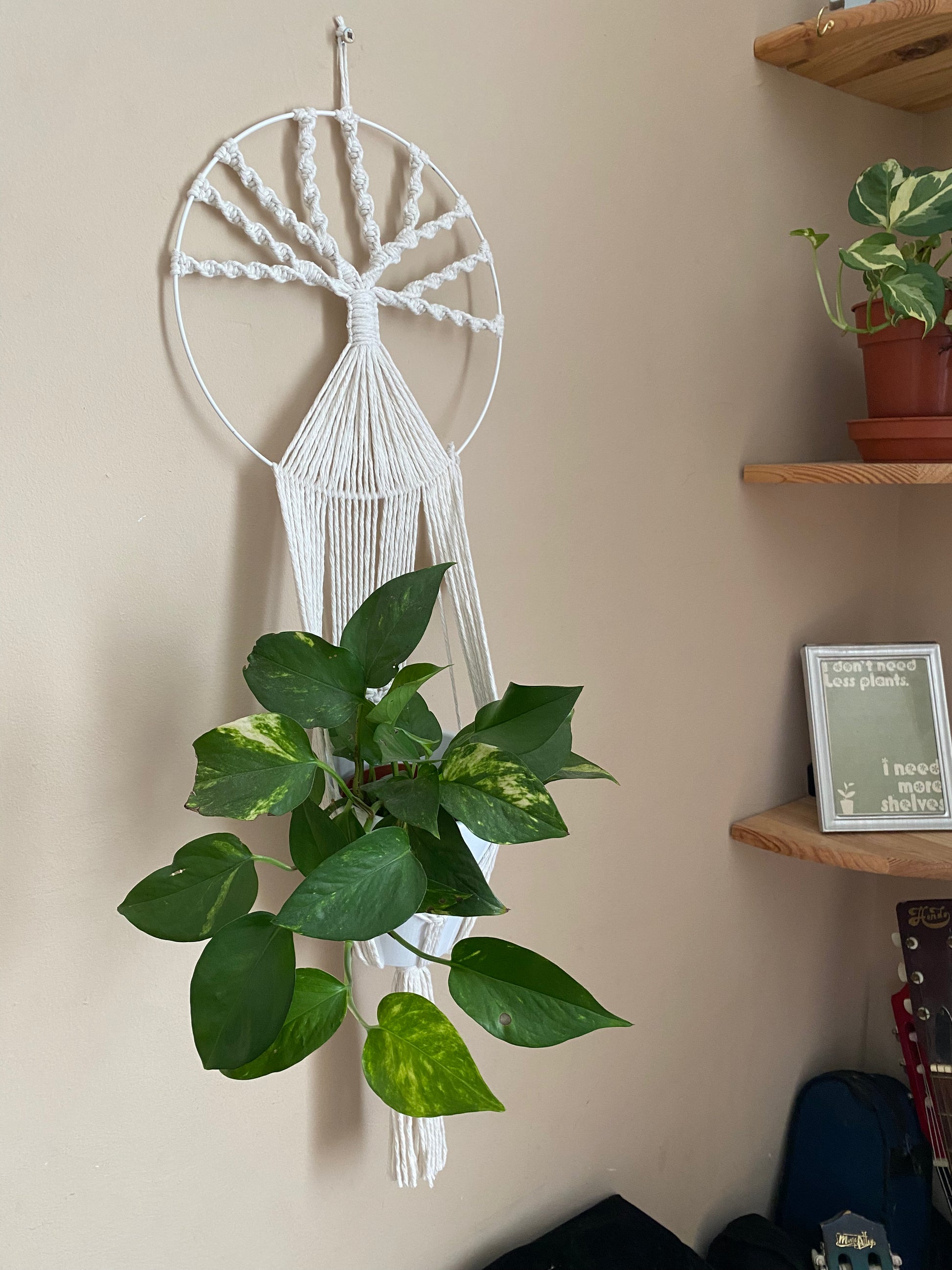 Handmade macramé Tree of Life plant holder with knotted tree design and trailing cords, holding a green trailing plant, against a beige wall.