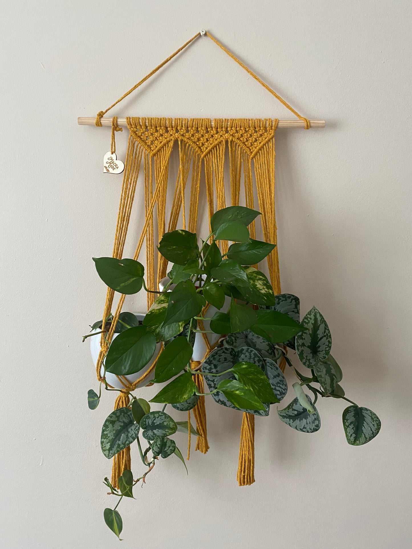 Three large leafy trailing houseplants hang next to each other in a wall hanging macrame plant hanger, made with mustard yellow cotton on a long wooden dowel.